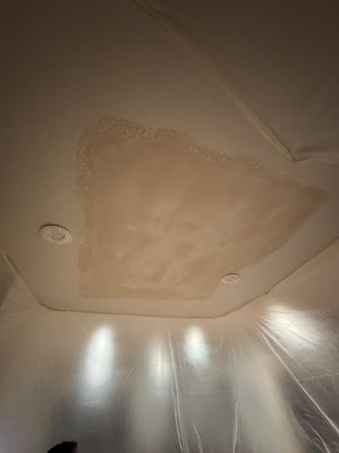  for Patch Pros LLC in Denver, CO