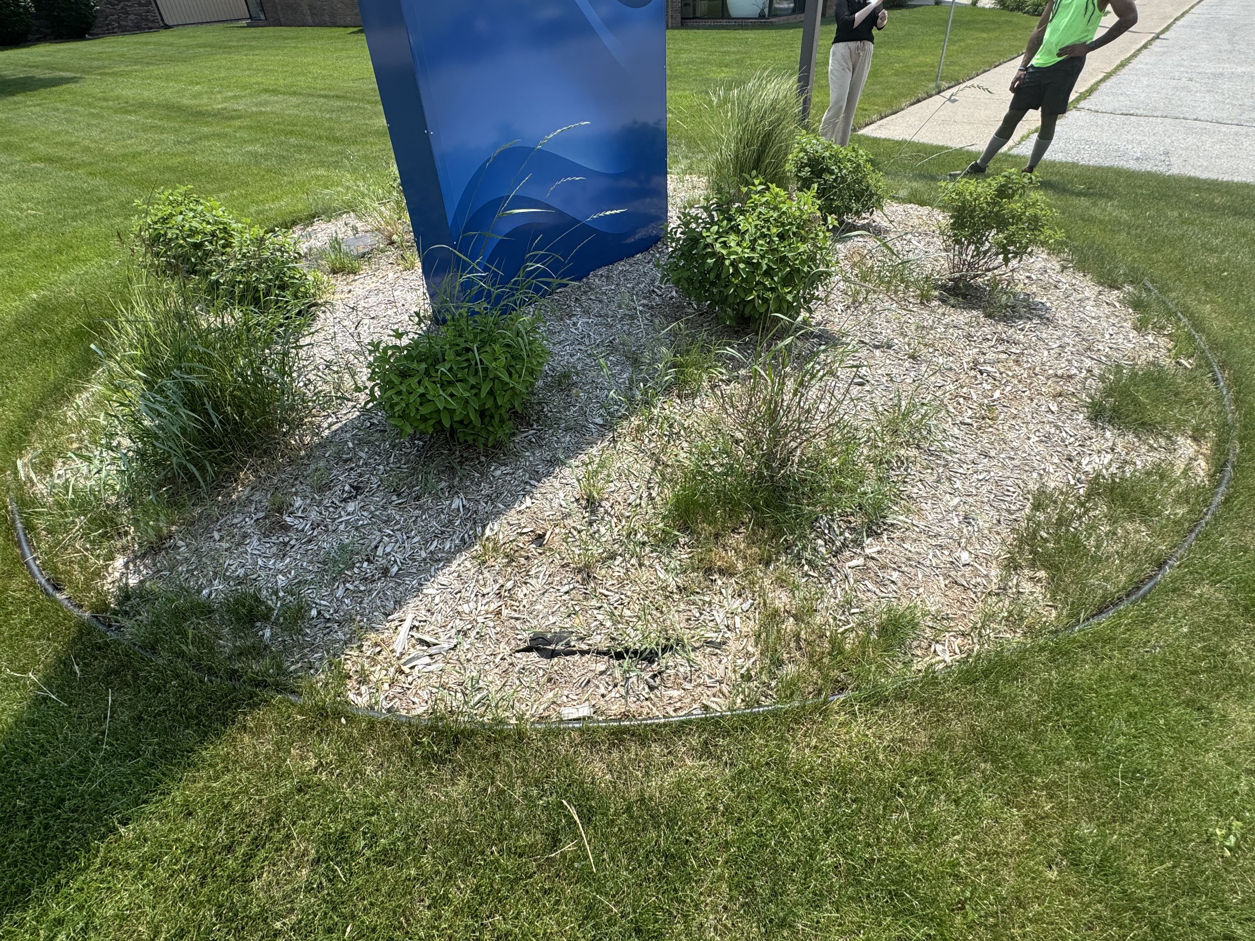 for Daugherty's Tough Lawn Care in Essexville, MI