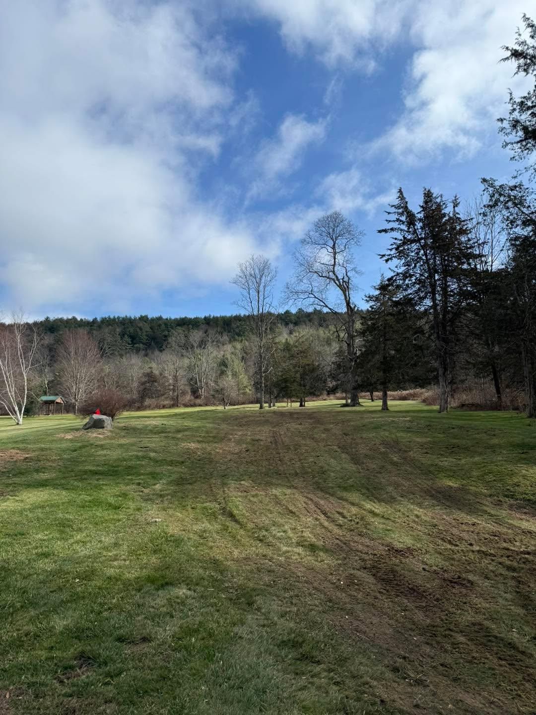  for Sterlings Tree Removal in Cobleskill, New York