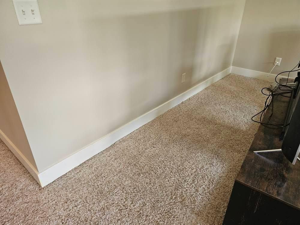  for Newtons Handyman Service LLC in Allendale, MI