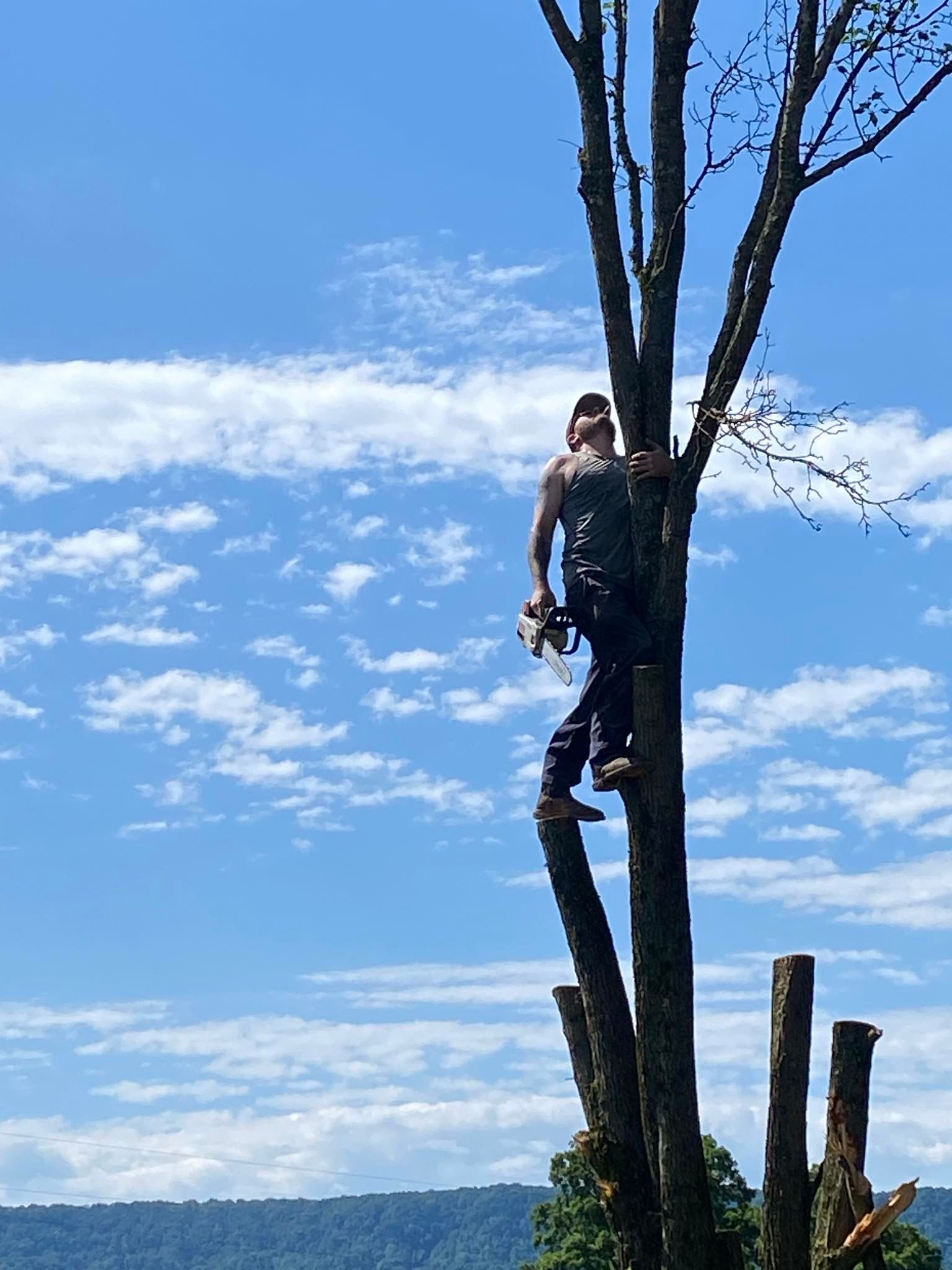  for Brocks Tree Service LLC in Rogersville, TN