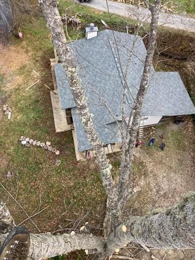  for Ground To Sky Tree Care in Asheville, North Carolina