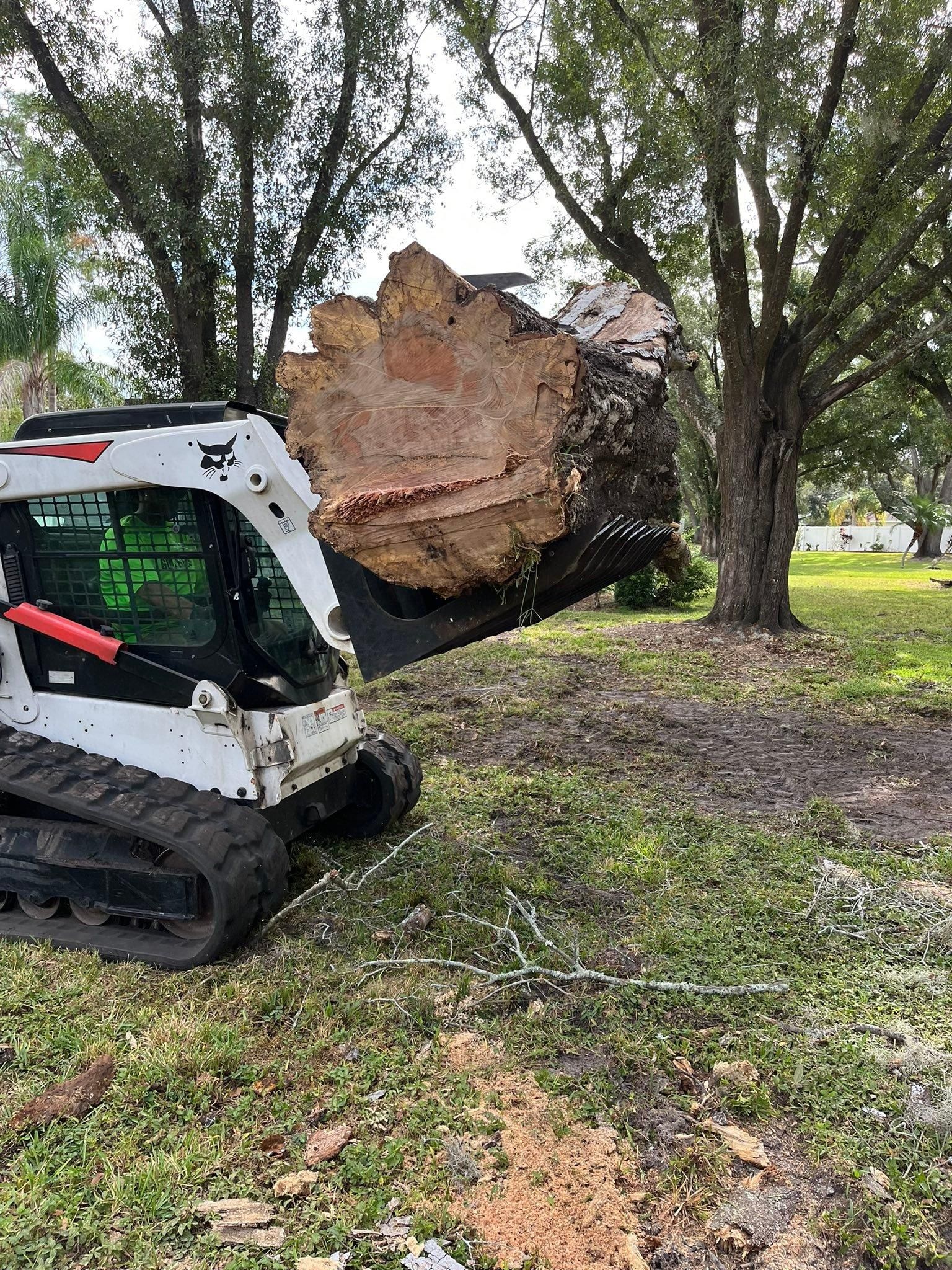  for Bills Tree Service in Valrico, FL