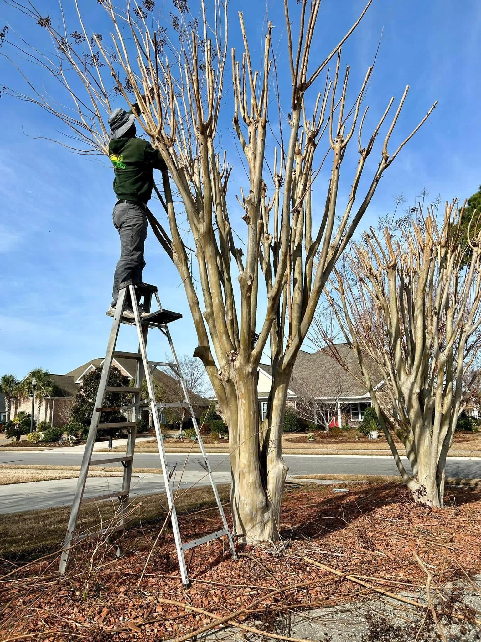  for New Creation Landscaping in Myrtle Beach, SC