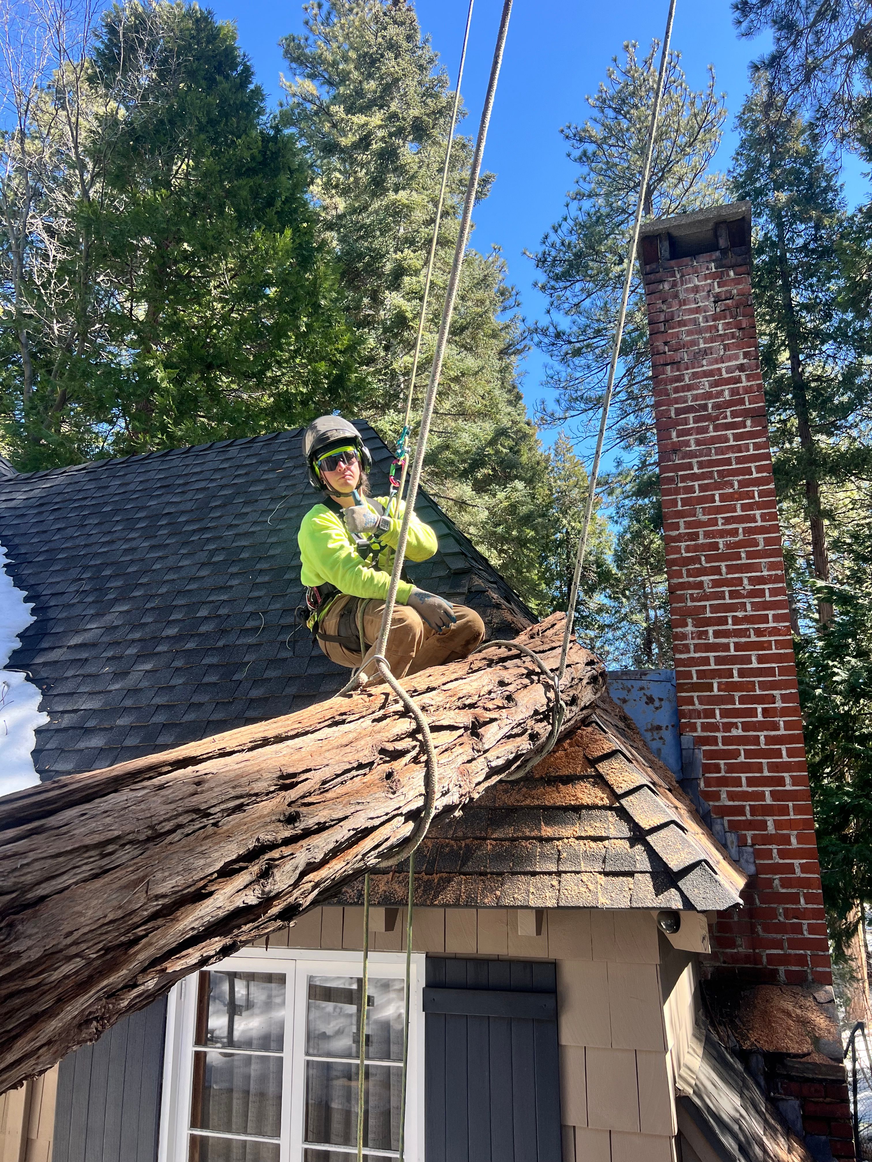  for Poseidon Valley Tree Service Corp in San Bernardino, CA
