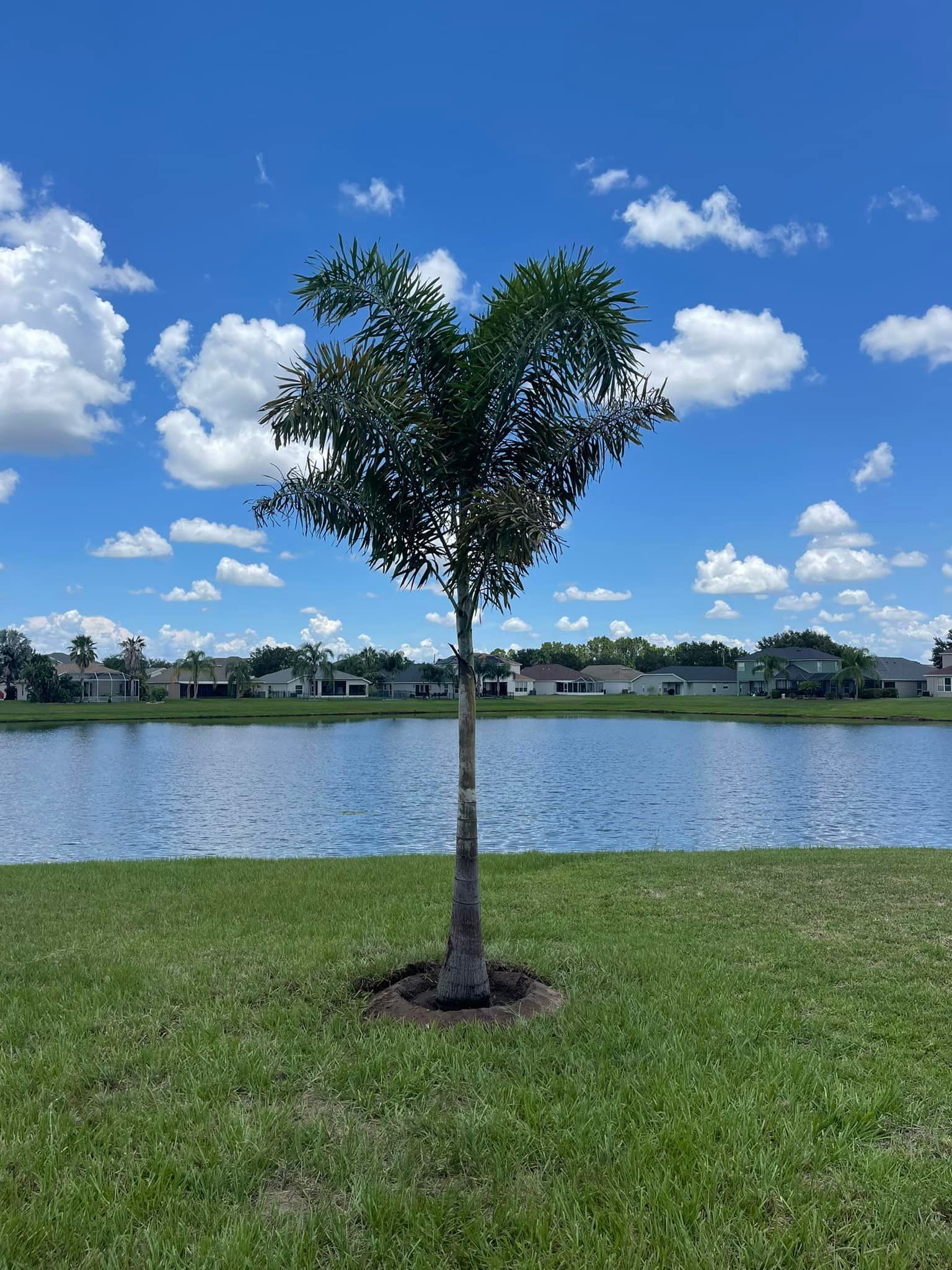  for Plant World LLC in Cape Coral, FL