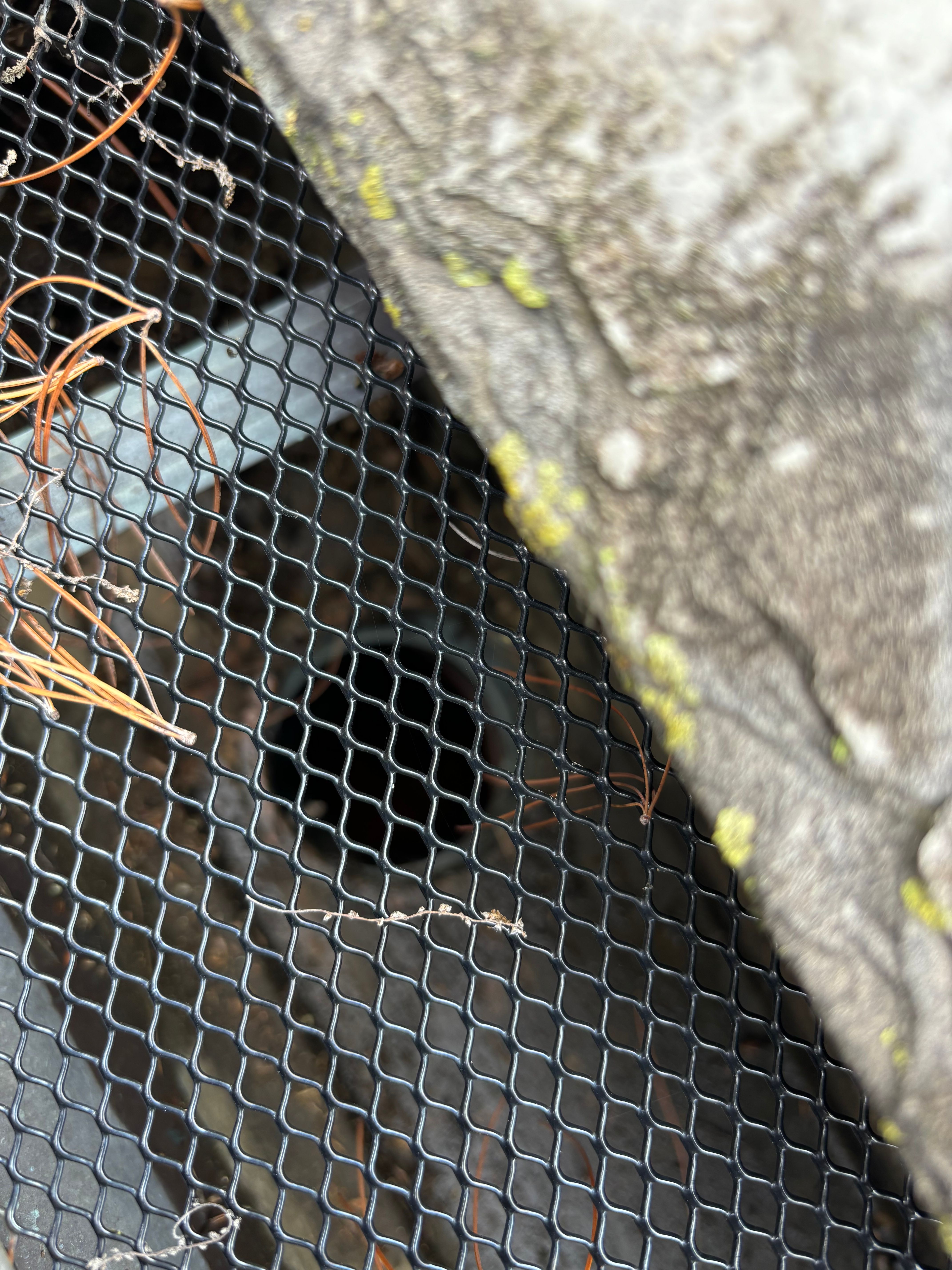  for See2it Clean in St Louis, MO