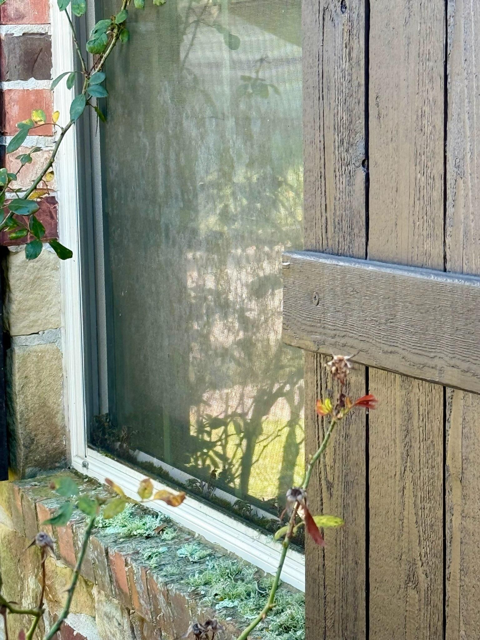  for Power Pressure Wash in Houston, TX