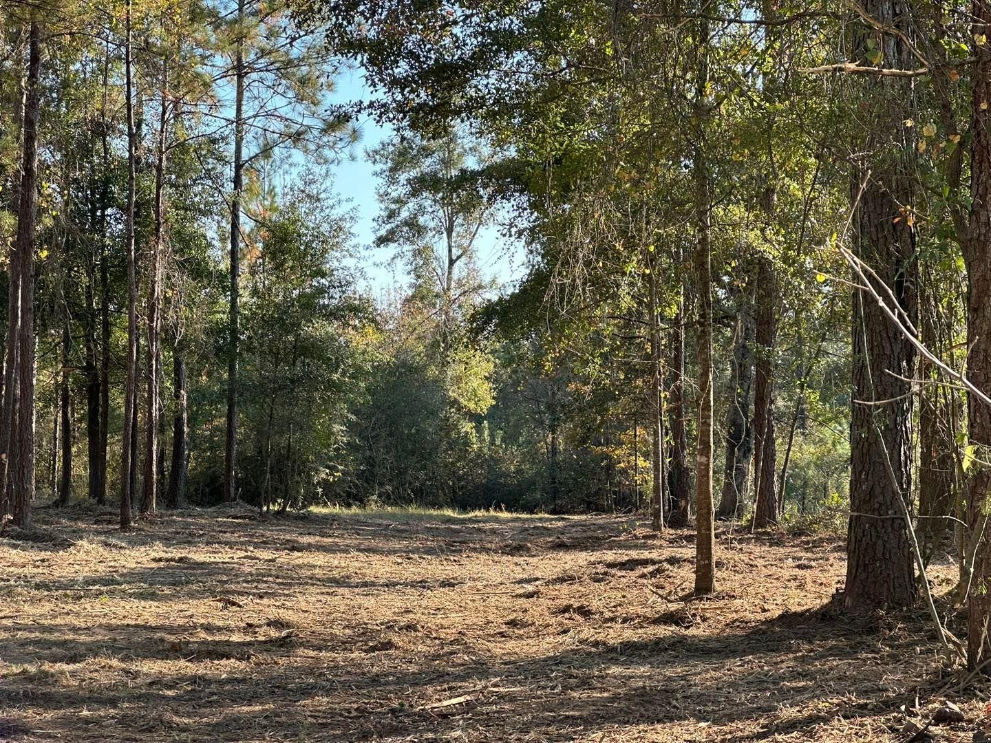  for White’s Land Maintenance in Milton,, FL