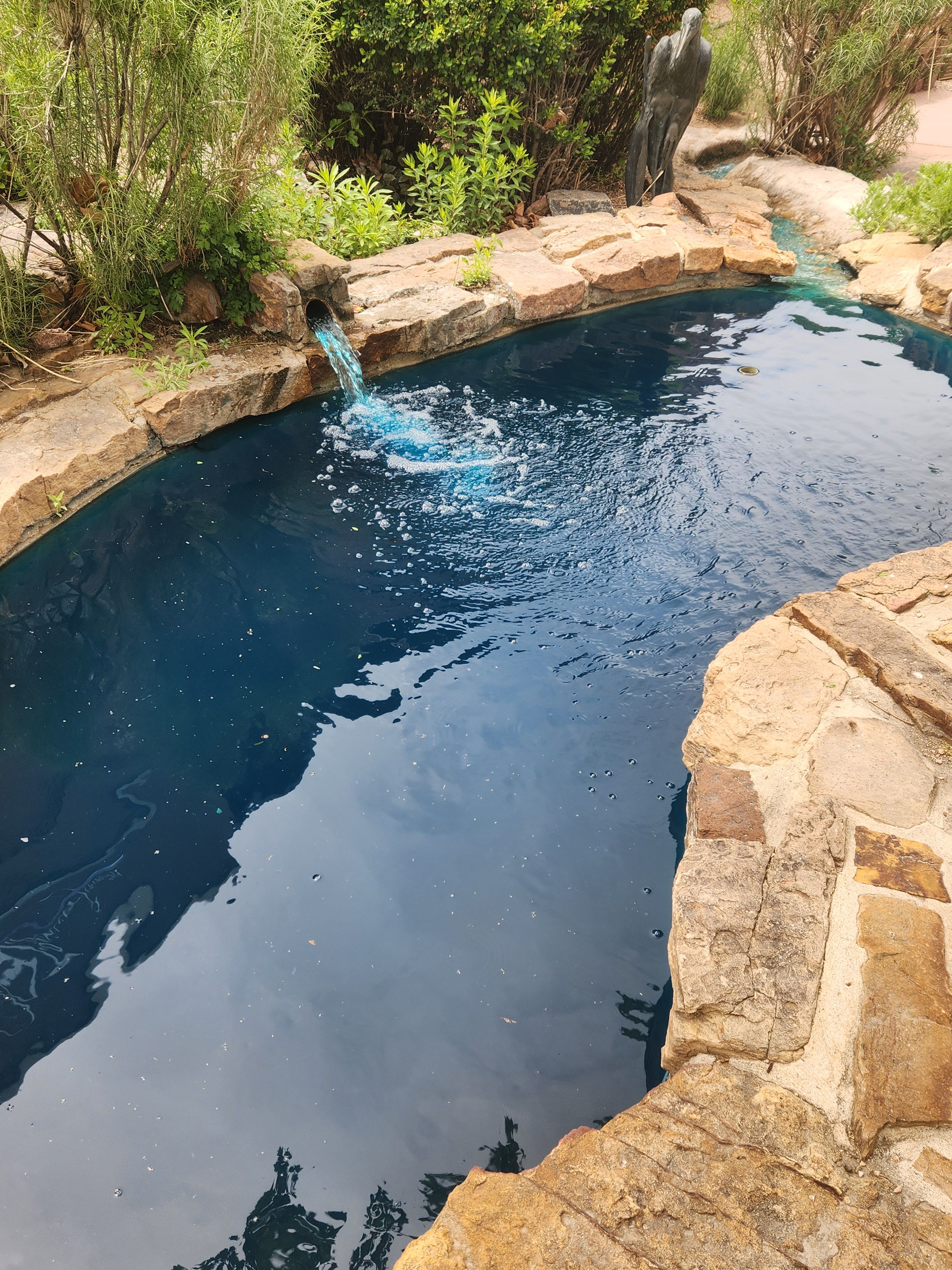 All Photos for CDM Sprinkler in Pueblo County, CO