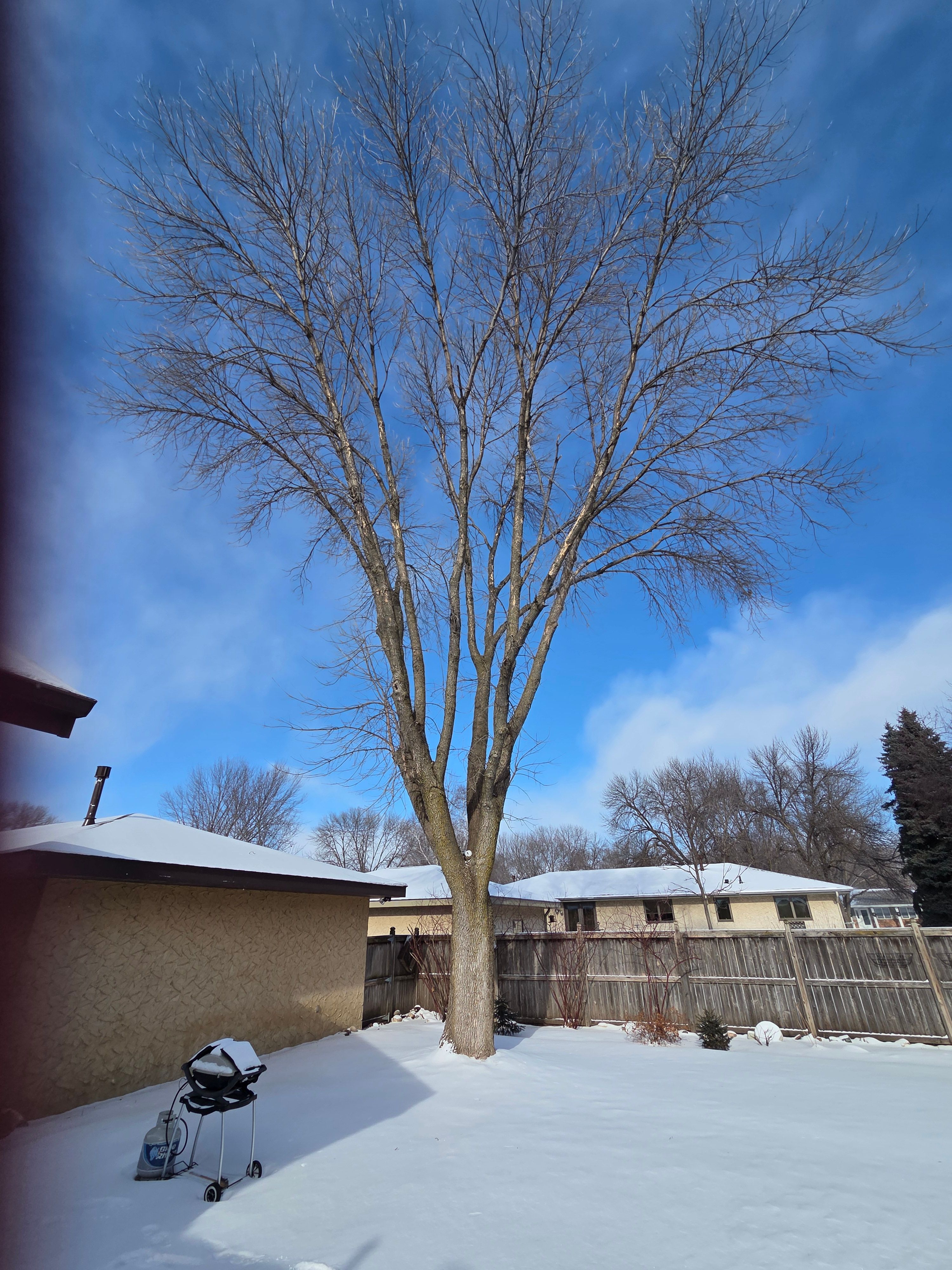 All Photos for K and Z Tree Care in Isanti County, MN