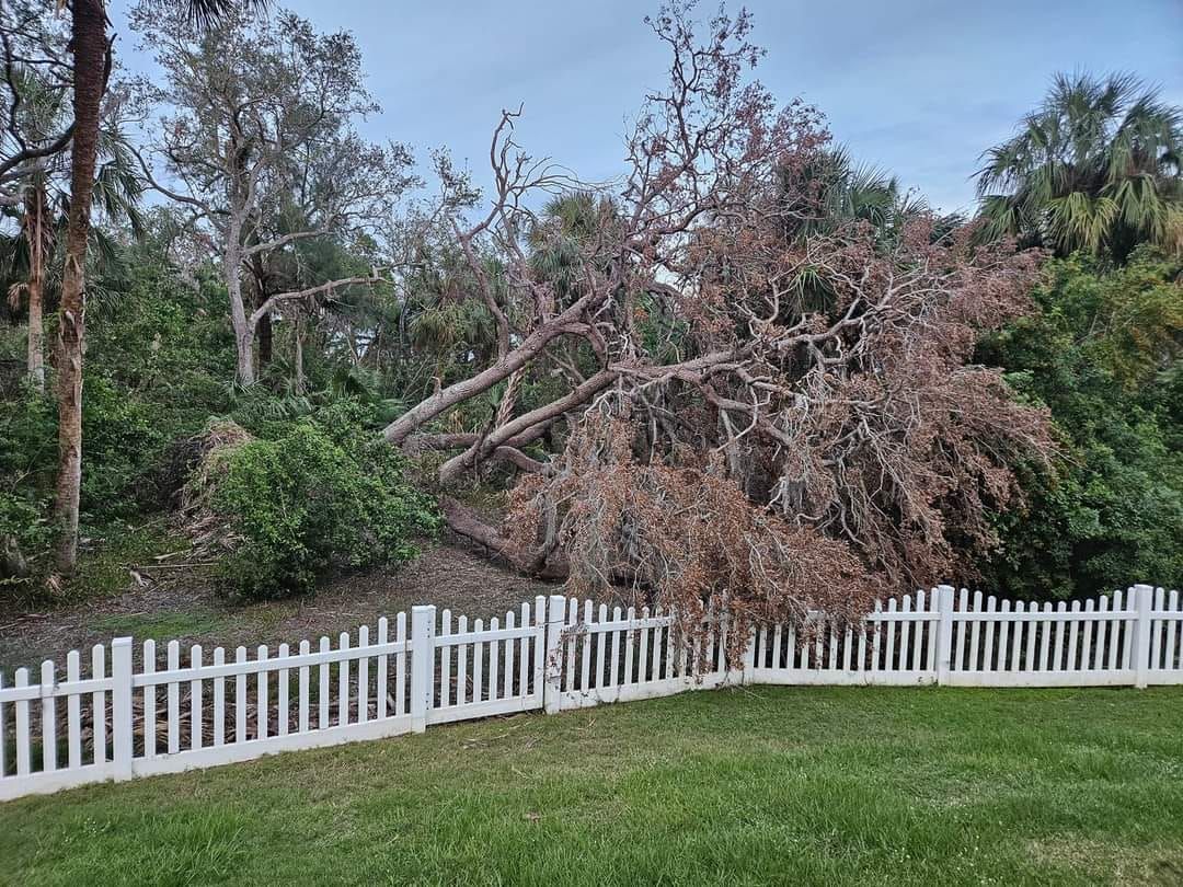 Excavating for Bay Area Bobcat in Riverview, FL