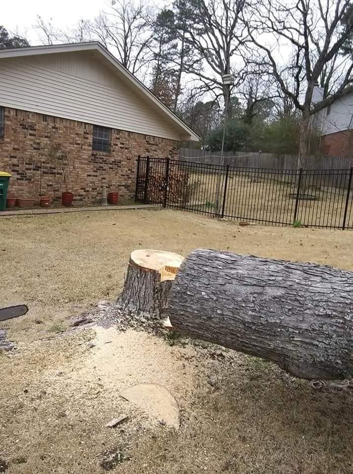  for Millers Tree Service in Saline County, AR