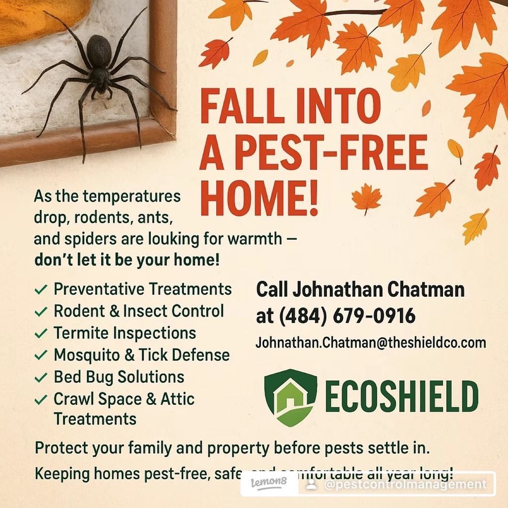 Pest Control for Pest Control Management in Montgomery County, PA