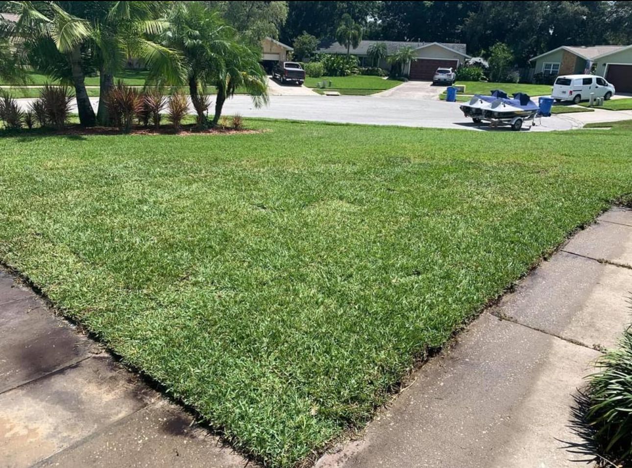  for Oceanfront Landscape in St. Petersburg, FL