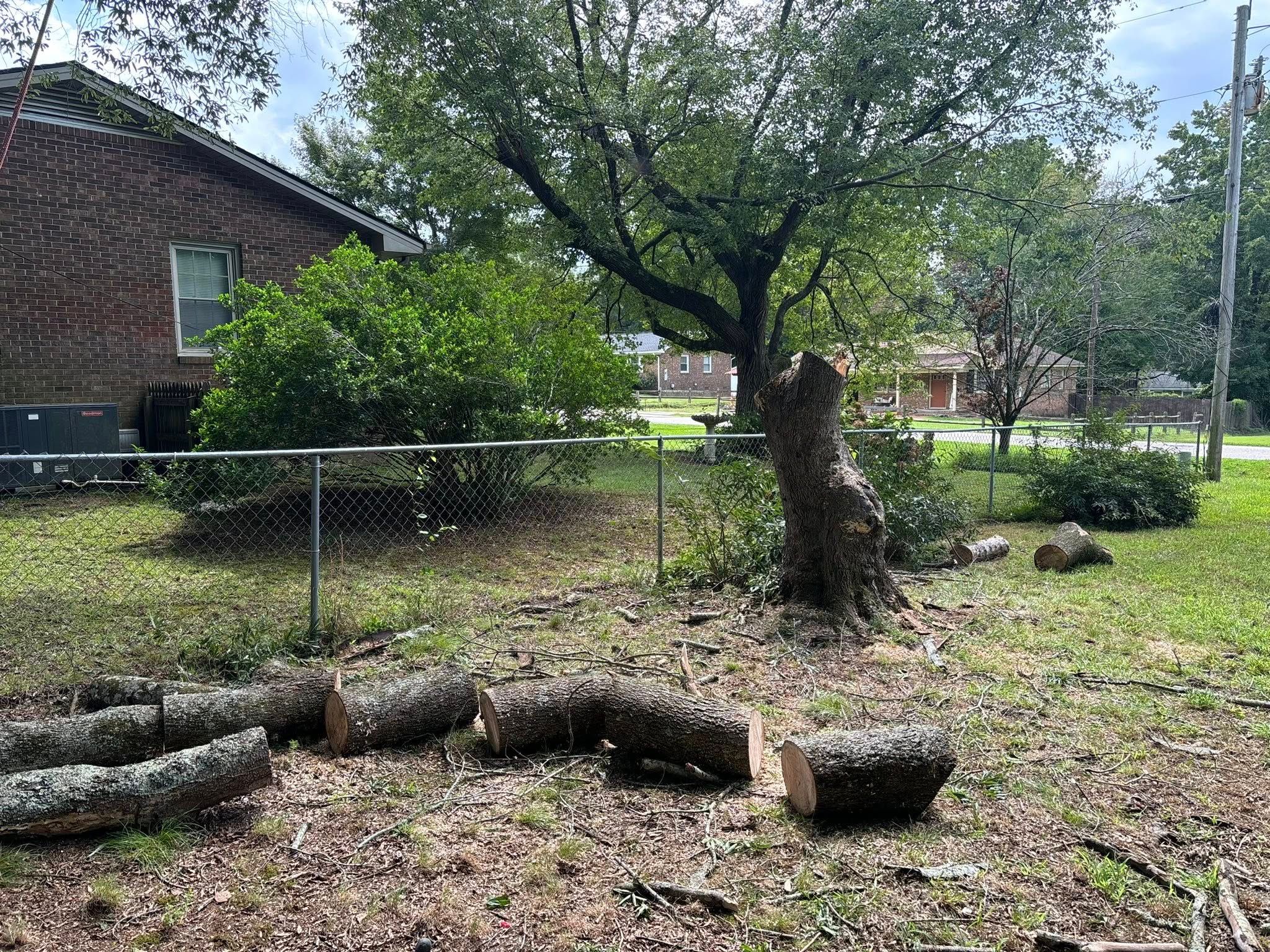  for Total Tree Care in Erwin, North Carolina