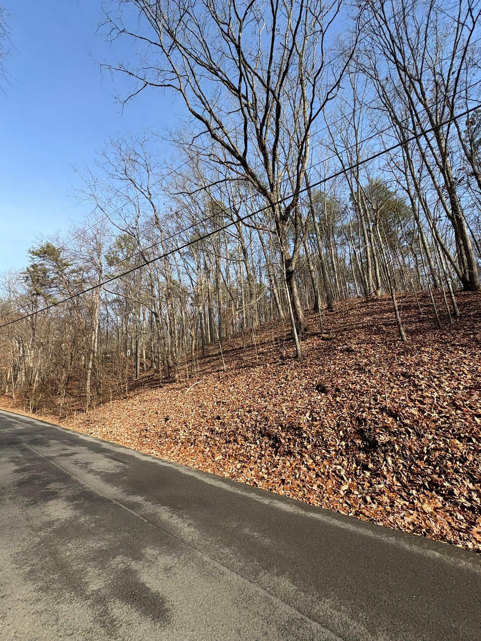  for Phillips Construction and Excavating in Seymour, TN