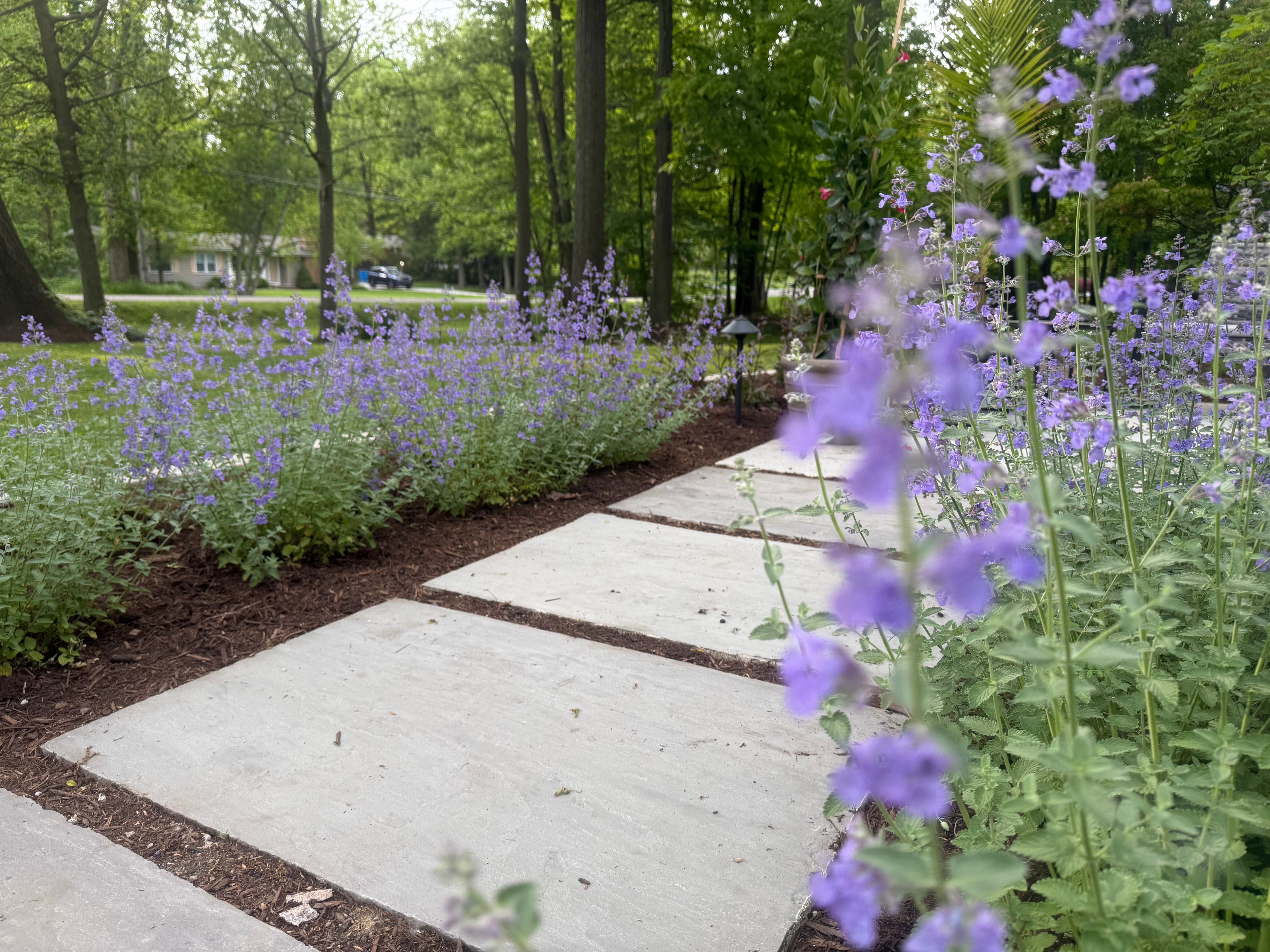  for Hillside Landscape & Design in Chesterland, OH