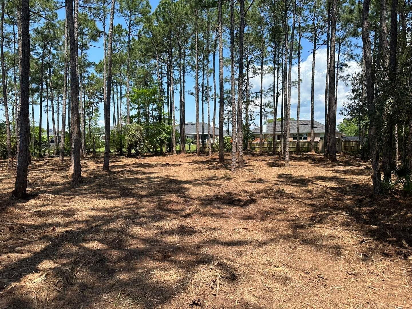 All Photos for White’s Land Maintenance in Milton,, FL