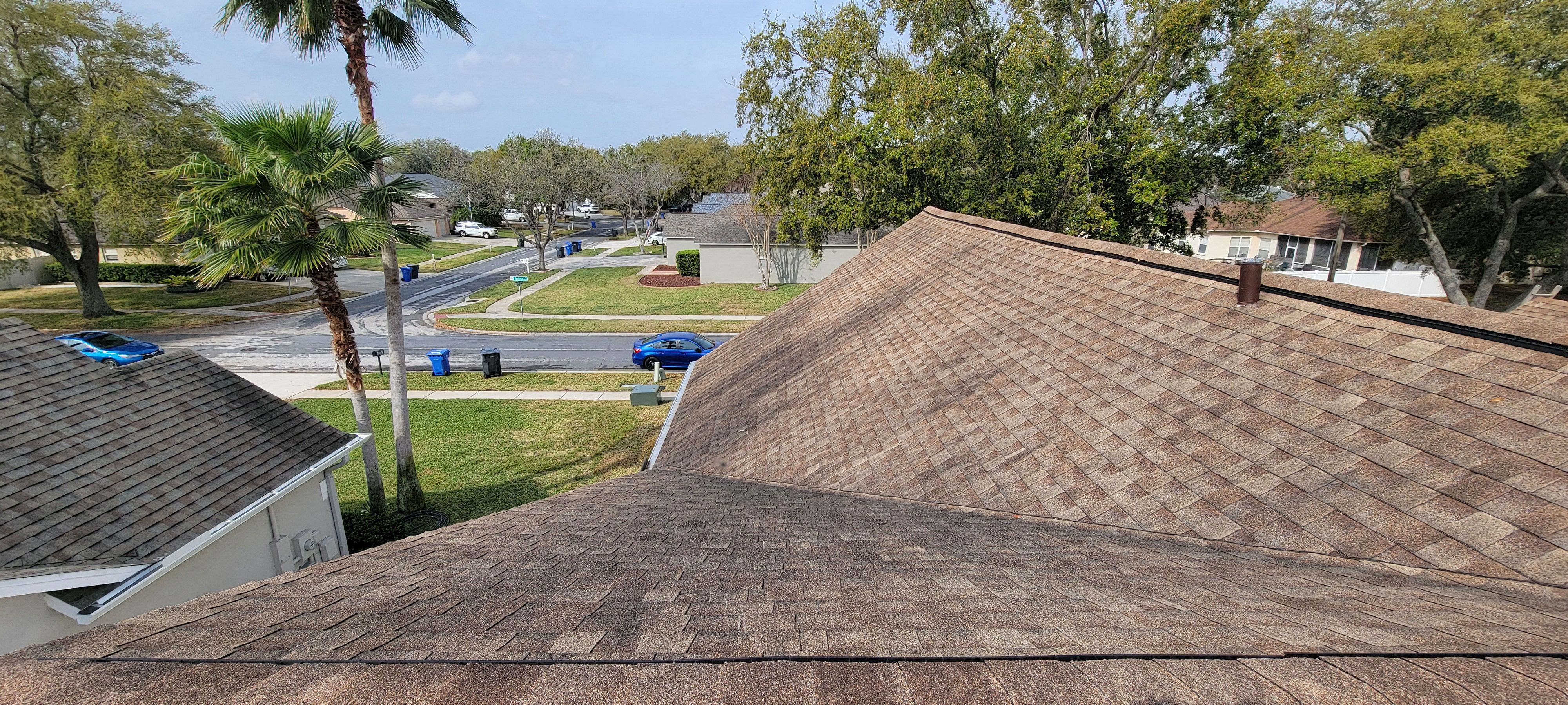  for Blue Stream Roof Cleaning & Pressure Washing in Tampa, FL