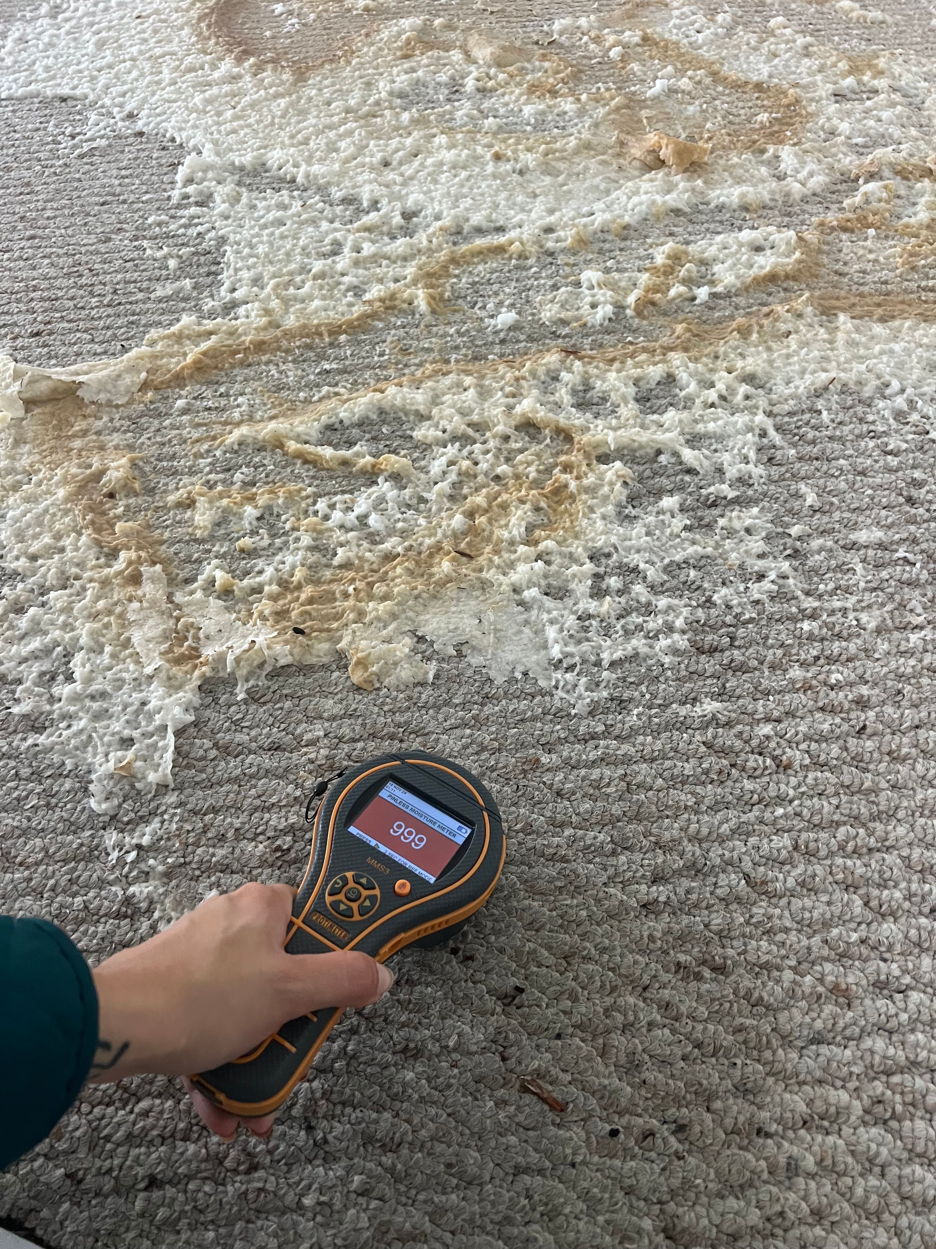  for N&D Restoration Services When Disaster Strikes, We Come In in Cape Coral,  FL