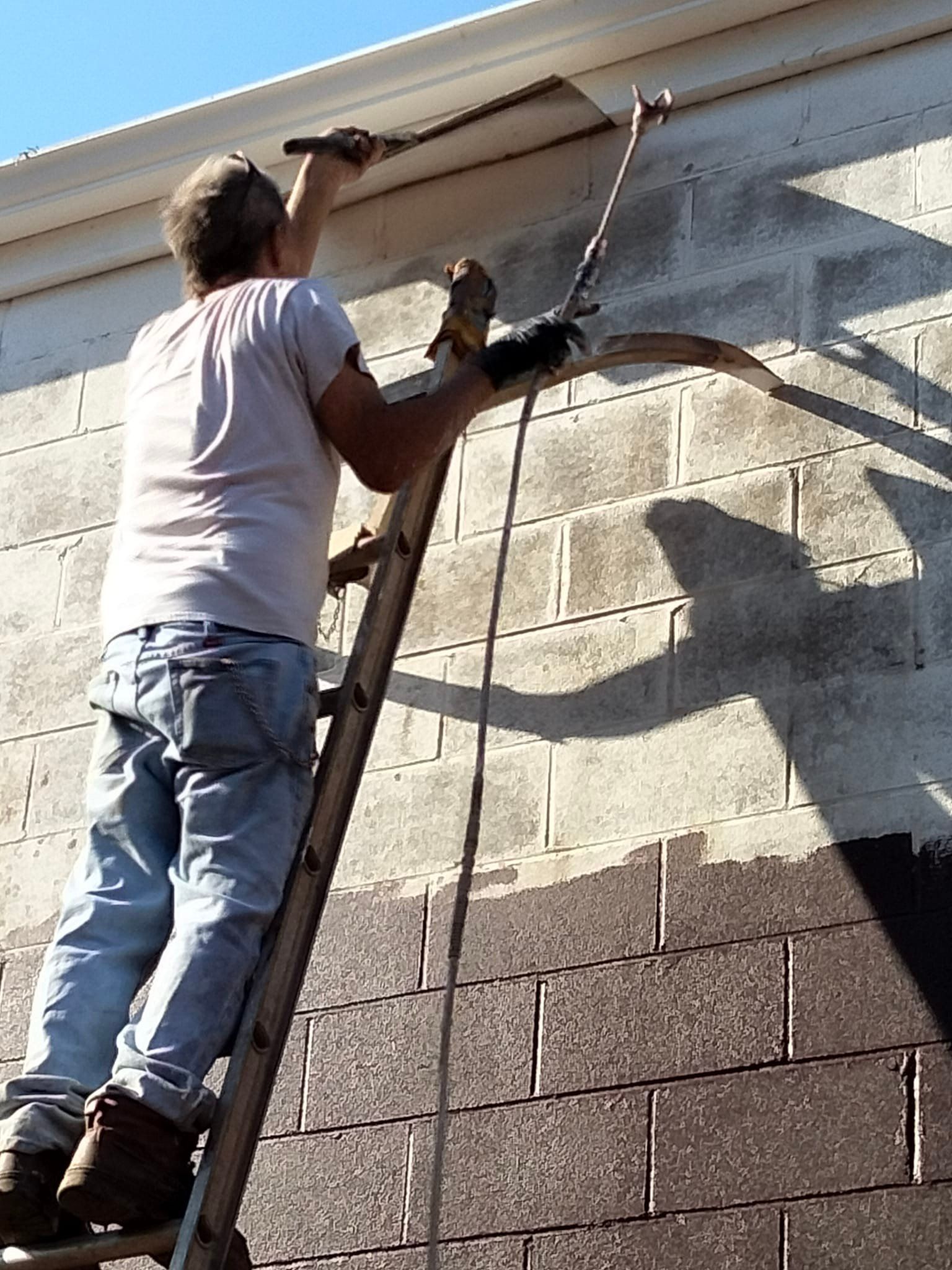  for Squeaky Clean Windows Gutters & More in Hoover, AL