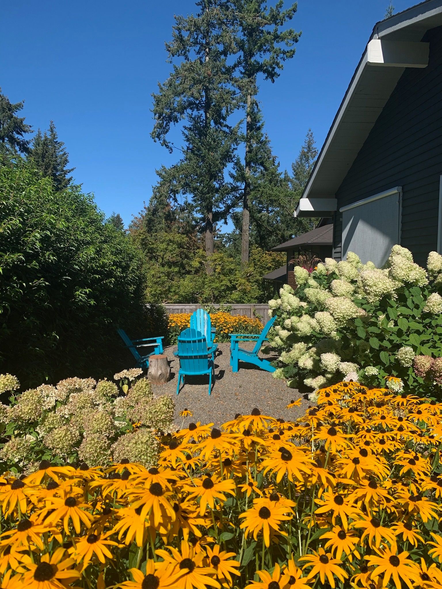  for Courtney Lewis Landscape Design in Portland, OR