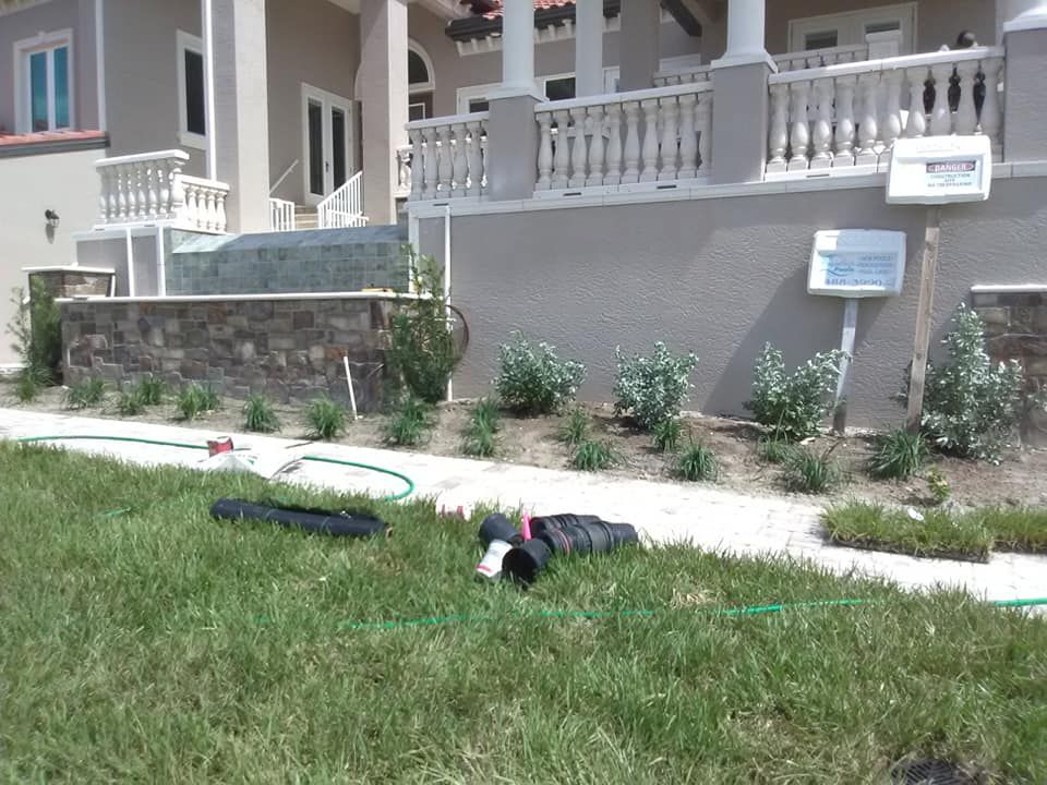  for Alpha Trees Service and Property Management in Port Charlotte, FL