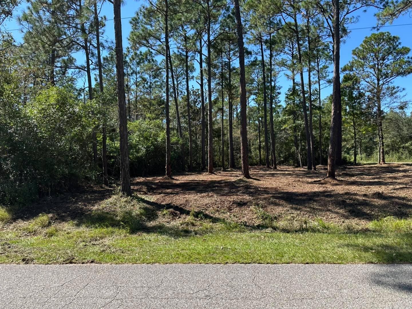  for White’s Land Maintenance in Milton,, FL
