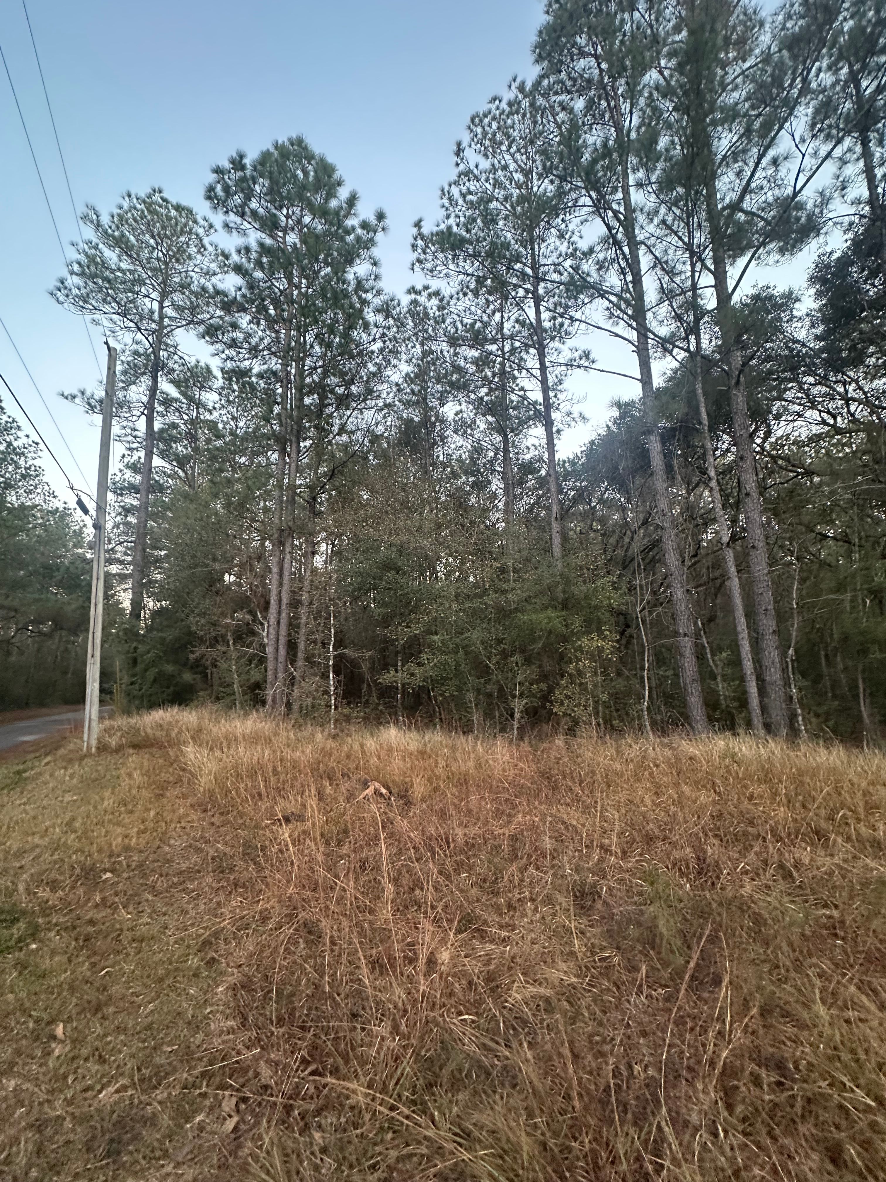  for Platinum Construction llc in Pearl River, MS