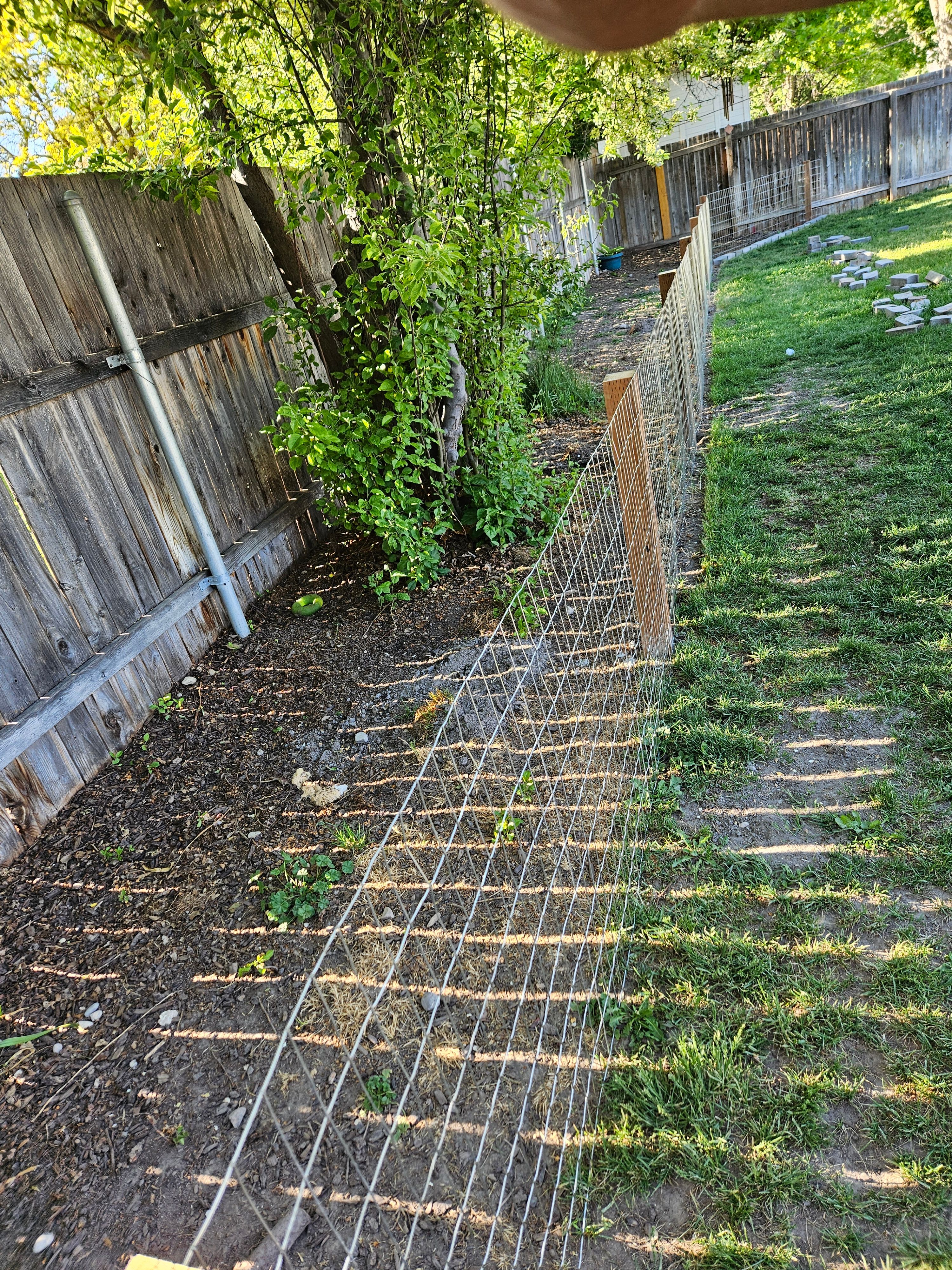  for Sawdust & Solutions in Boise, ID