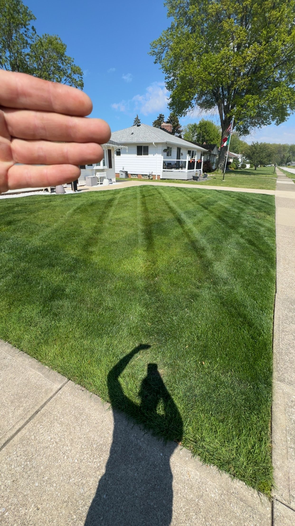  for Yard Theory in Willowick, OH