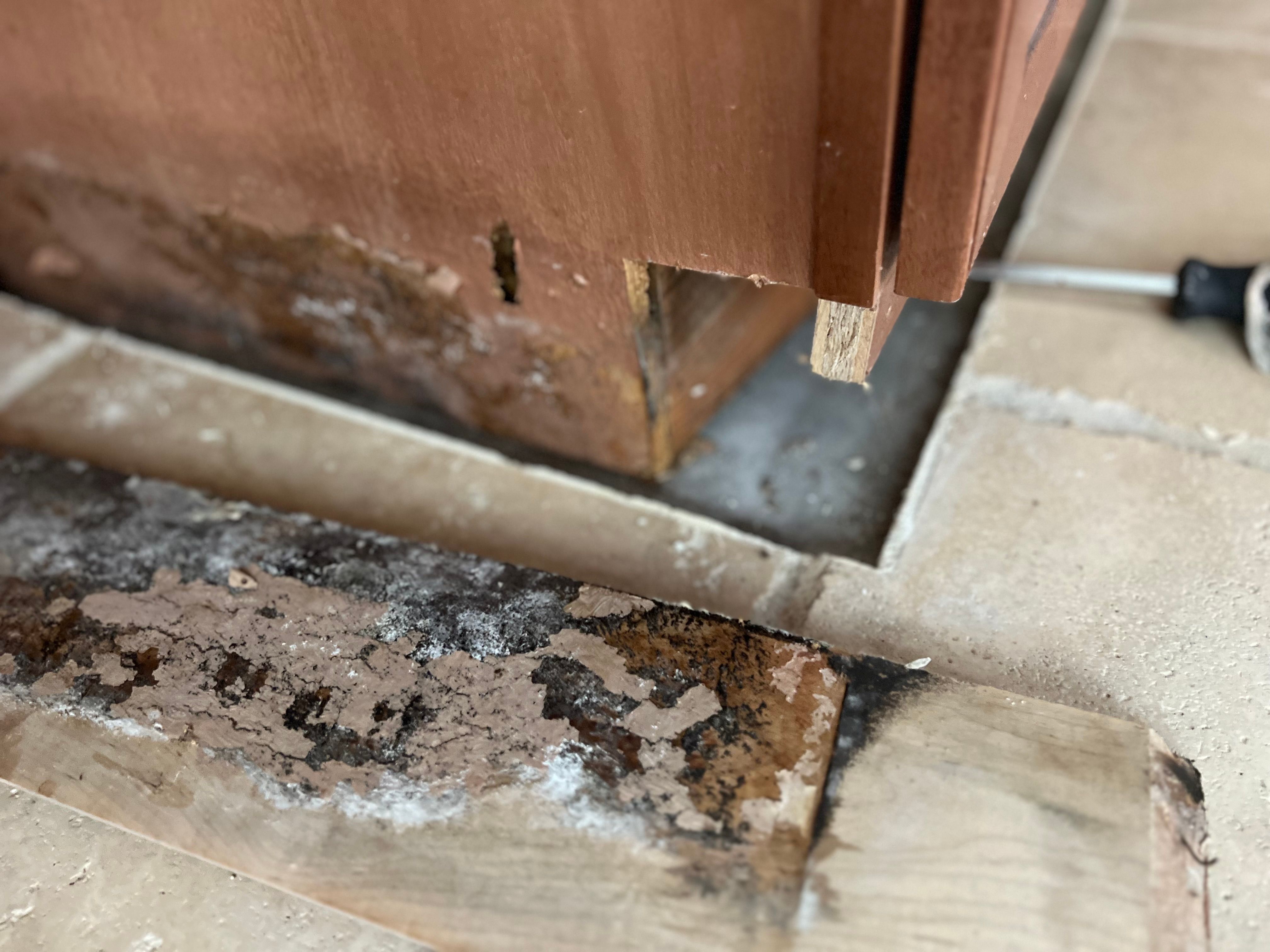  for N&D Restoration Services When Disaster Strikes, We Come In in Cape Coral,  FL