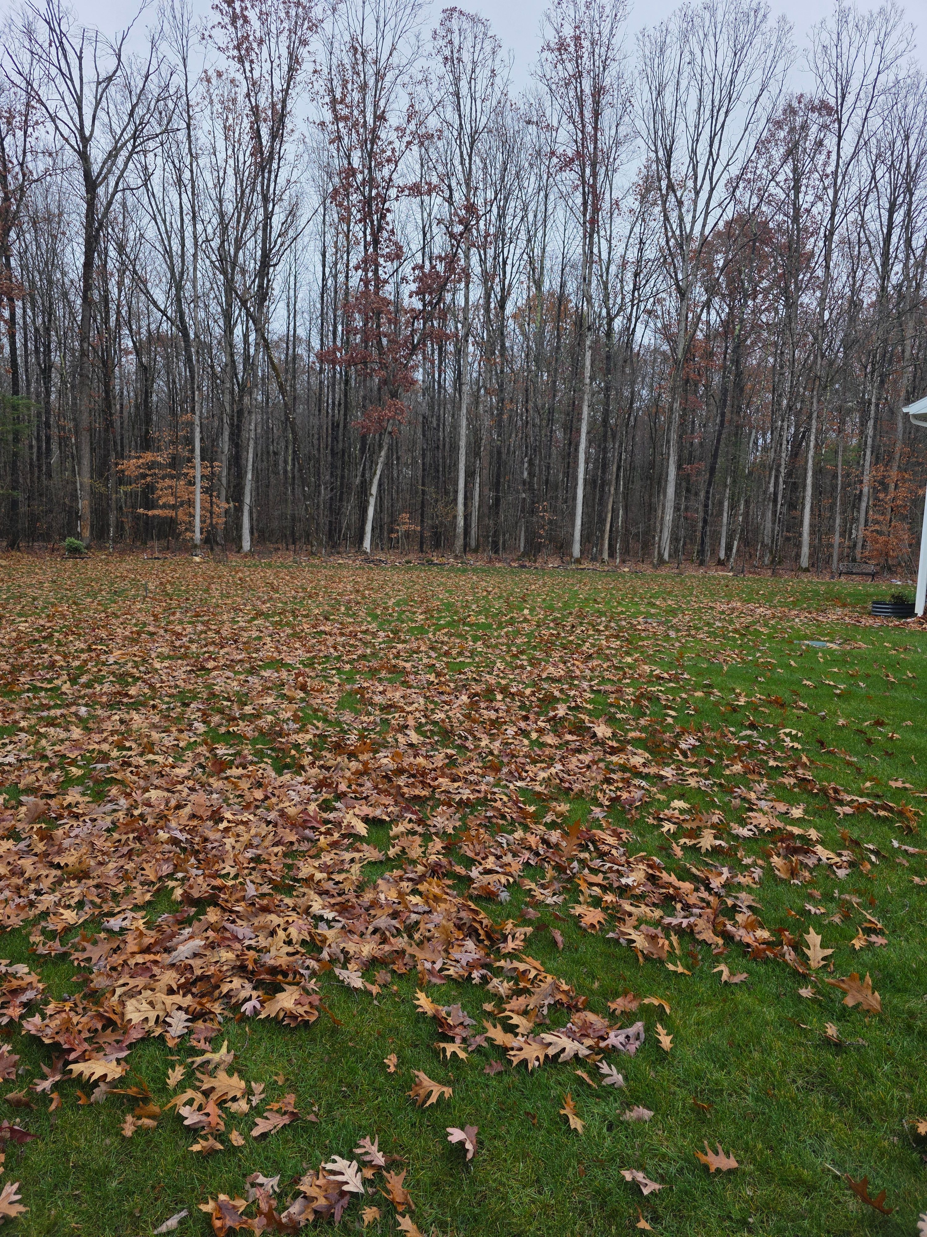  for Sweet Scapes in Ballston Spa, NY