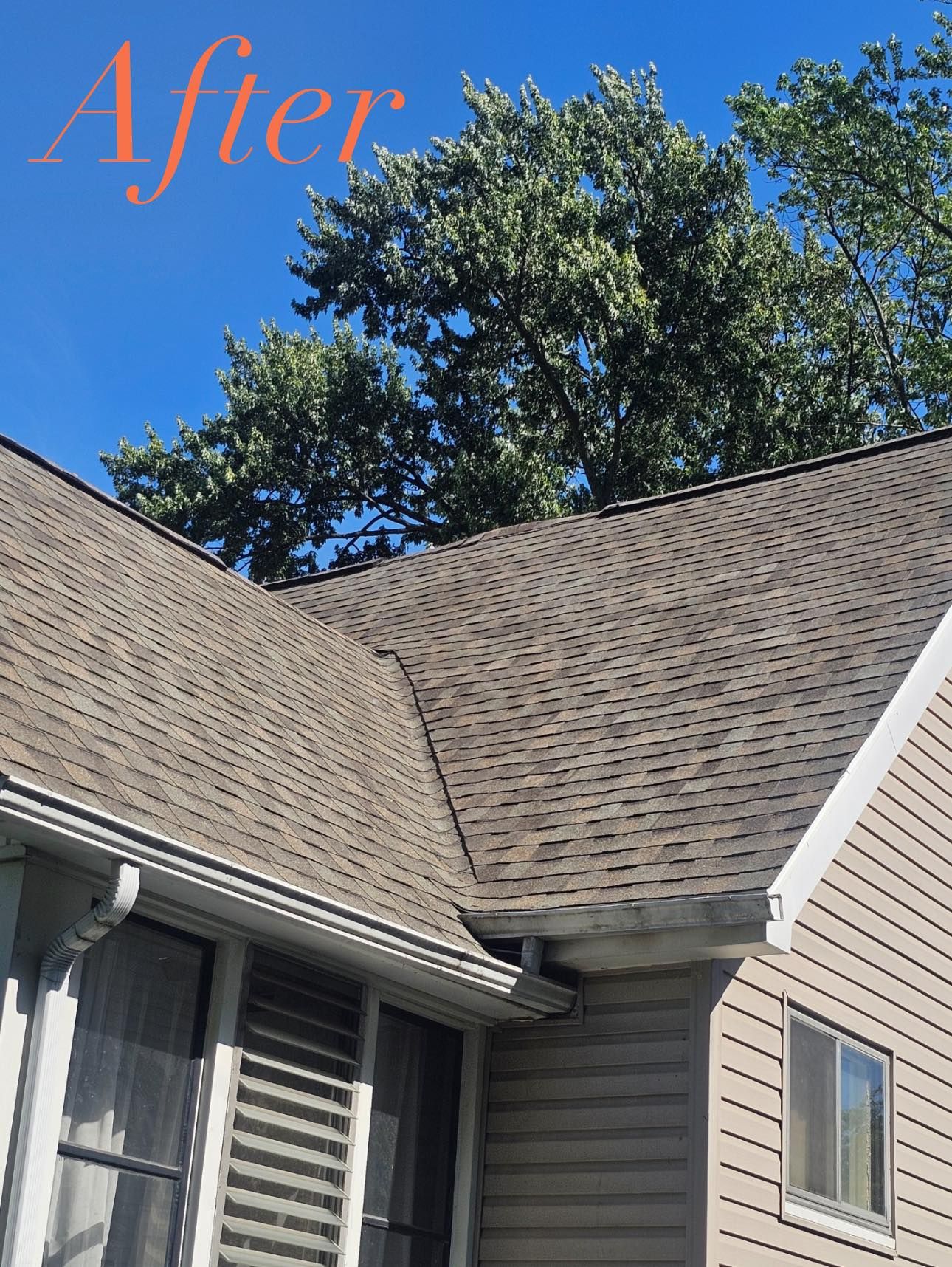  for Contractors Roofing in Dearborn, MI