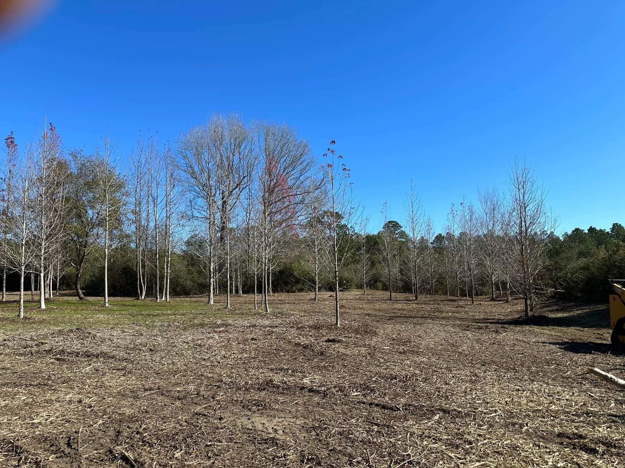 All Photos for White’s Land Maintenance in Milton,, FL