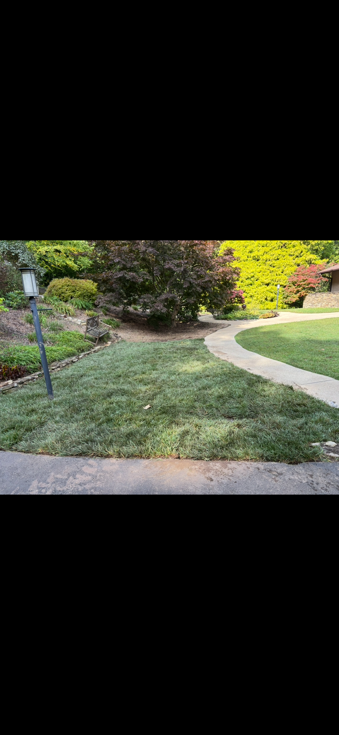  for Andy's Tree Service in Zirconia, NC