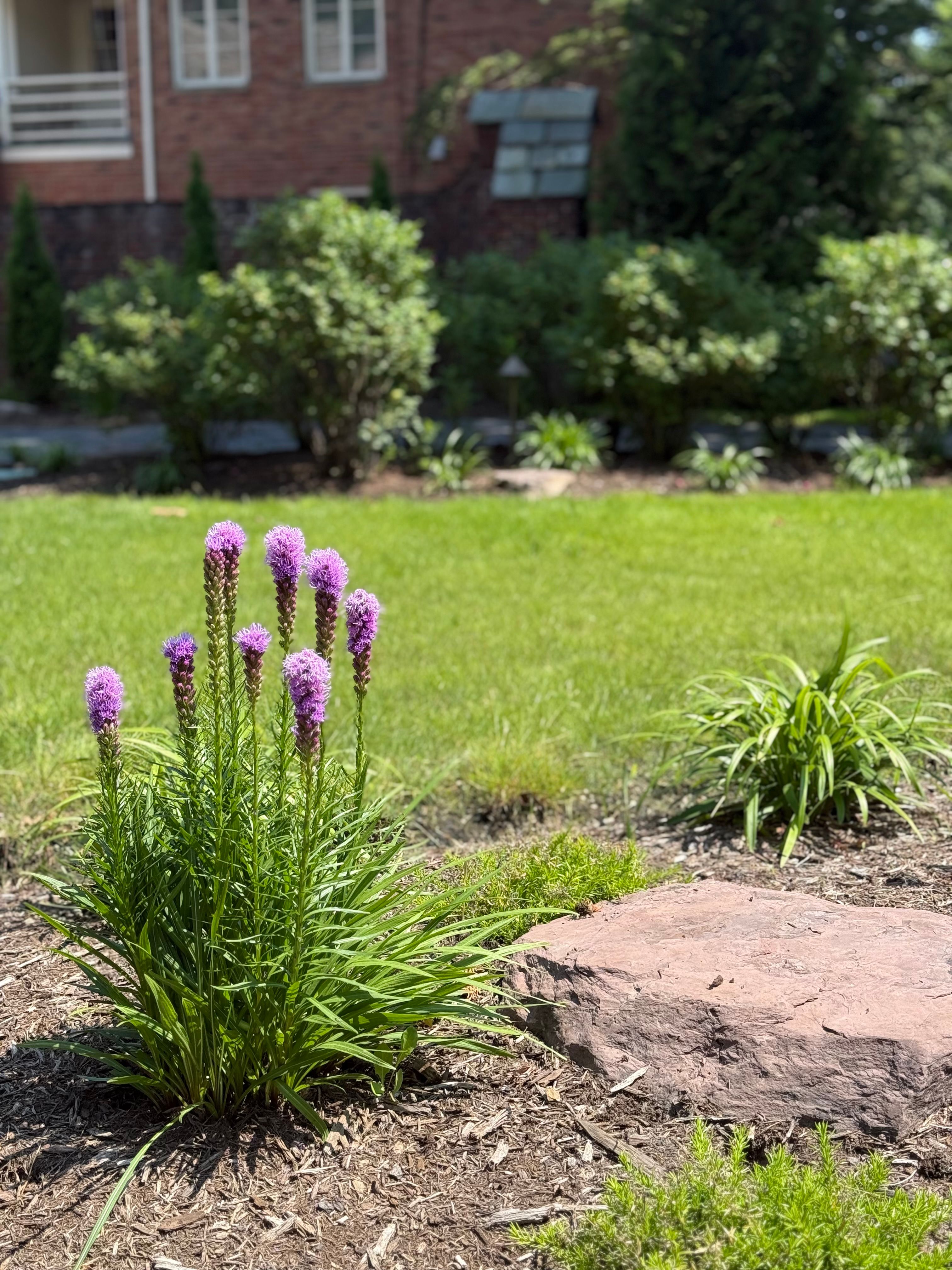  for Hillside Landscape Design in Parma,  OH