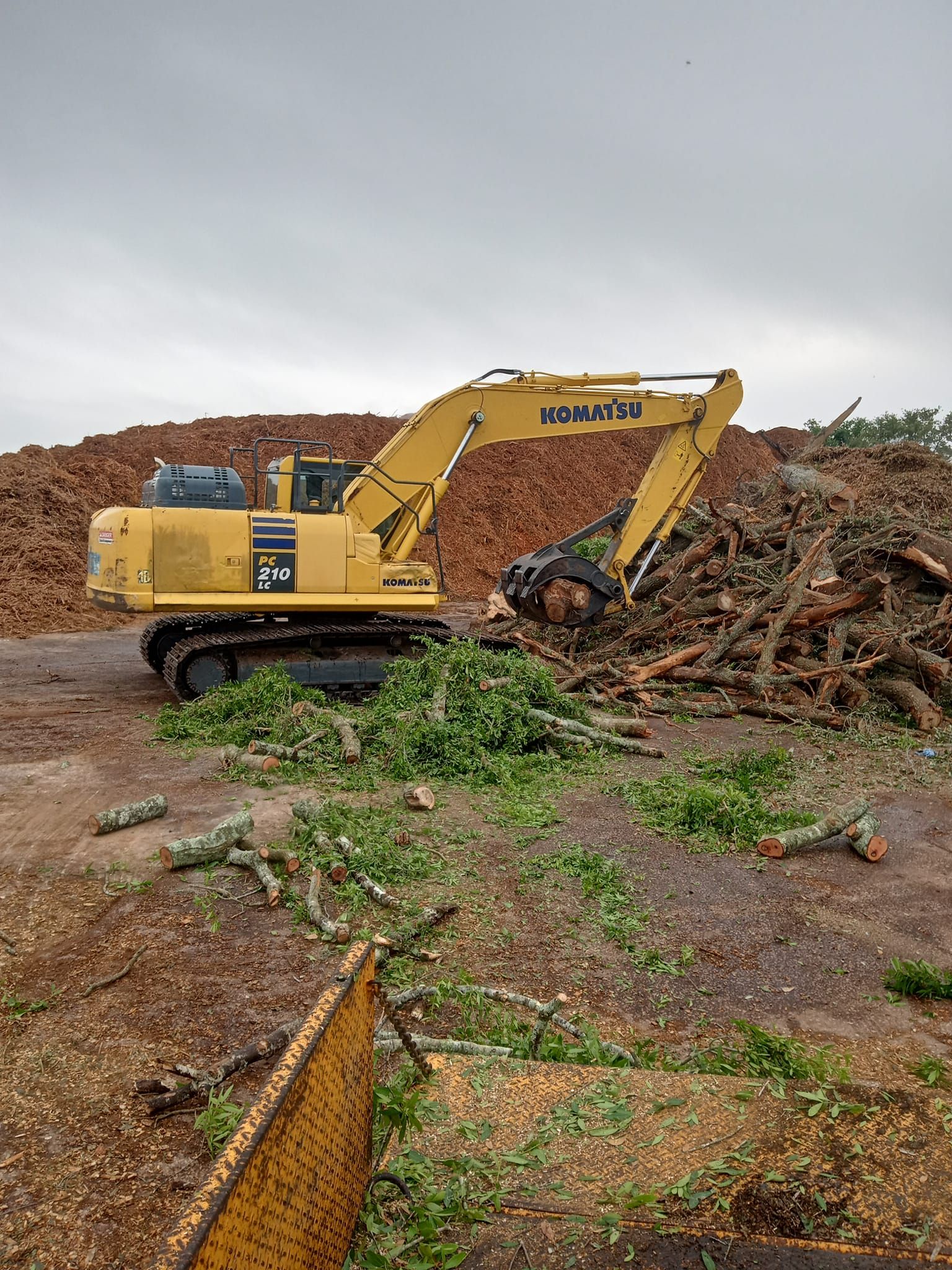  for A Southern Style Tree Service in Orlando, FL