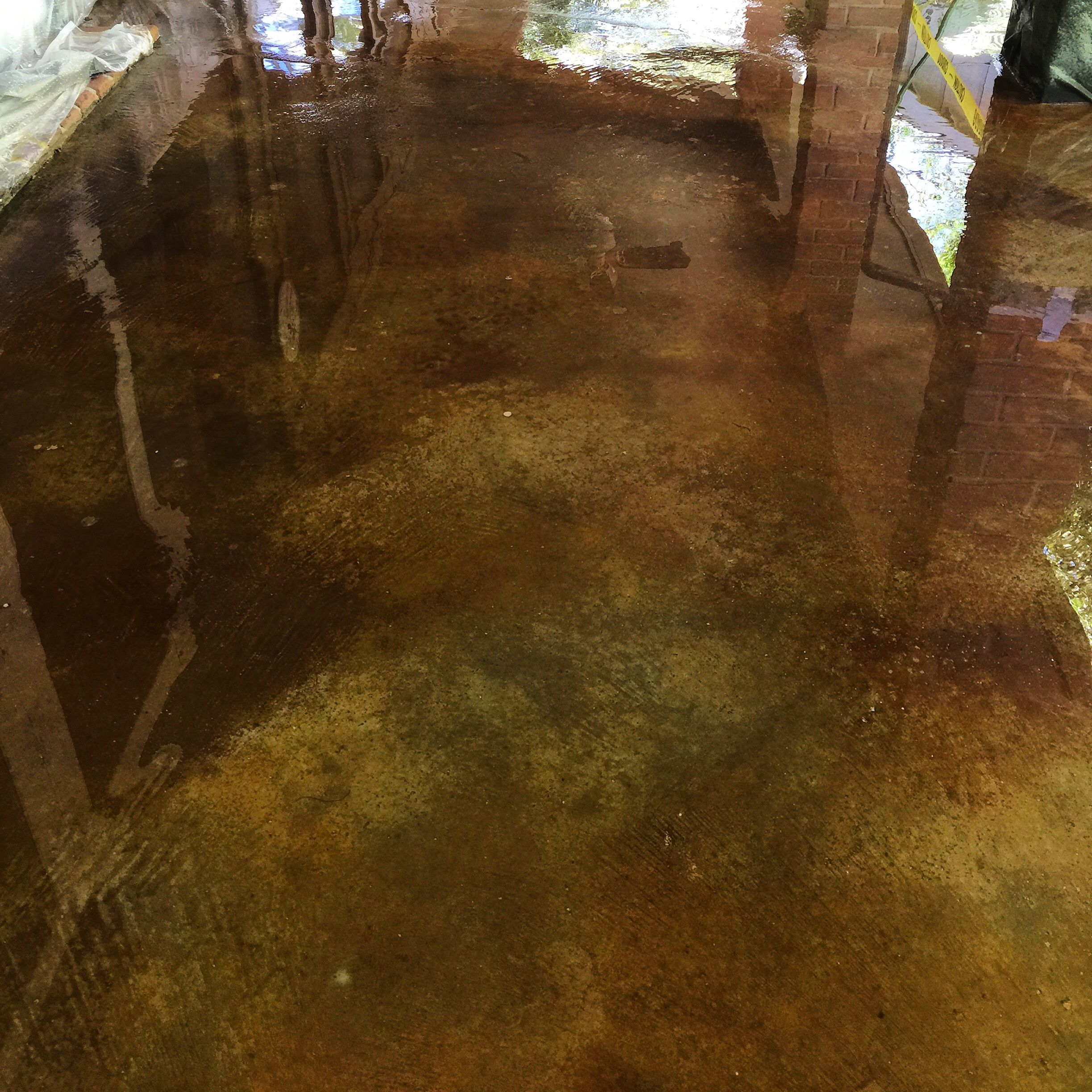  for Texas Curb N Borders in Houston, TX