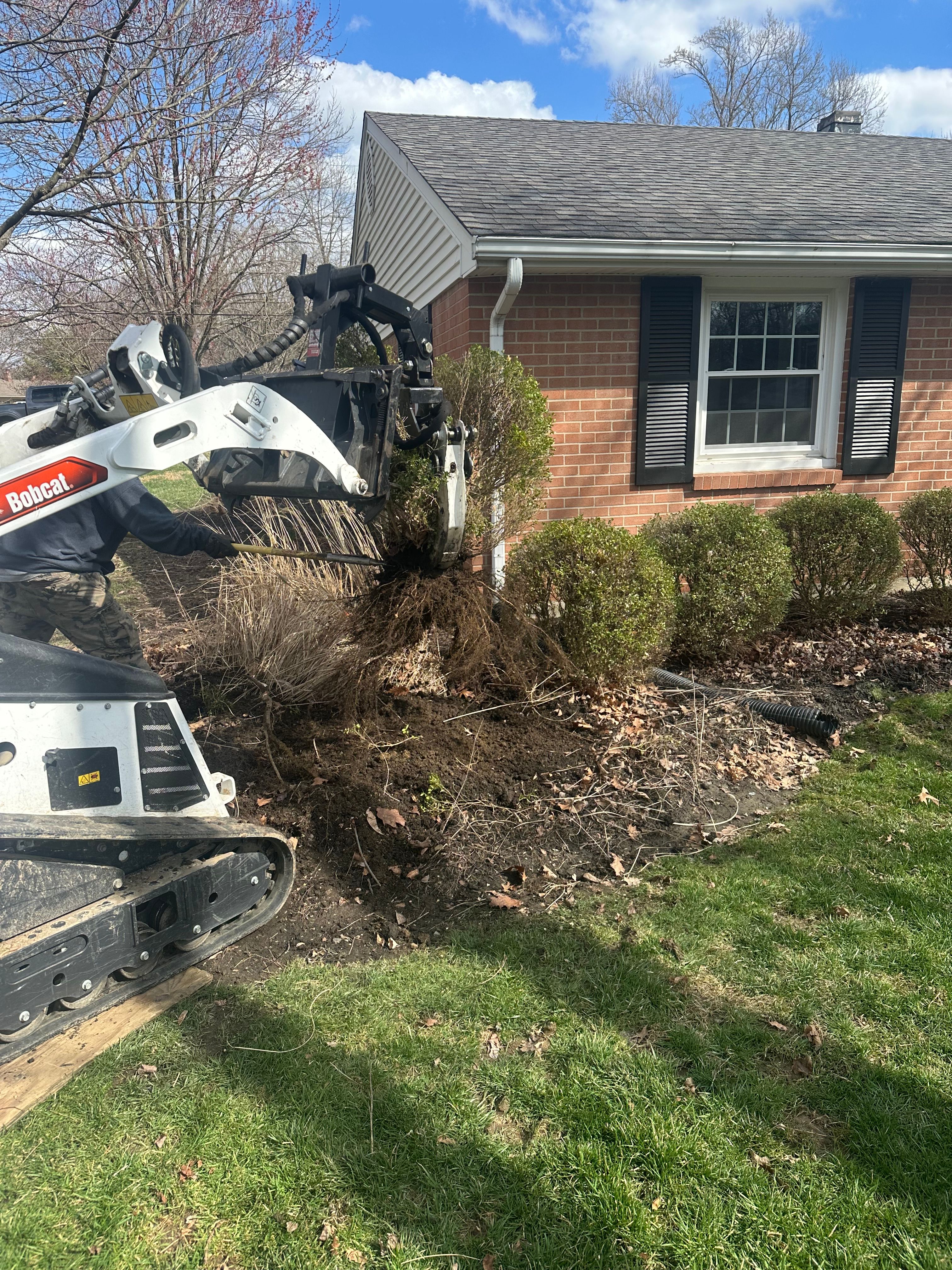 All Photos for Pro Tree Trim & Removal, Llc in Dayton, OH