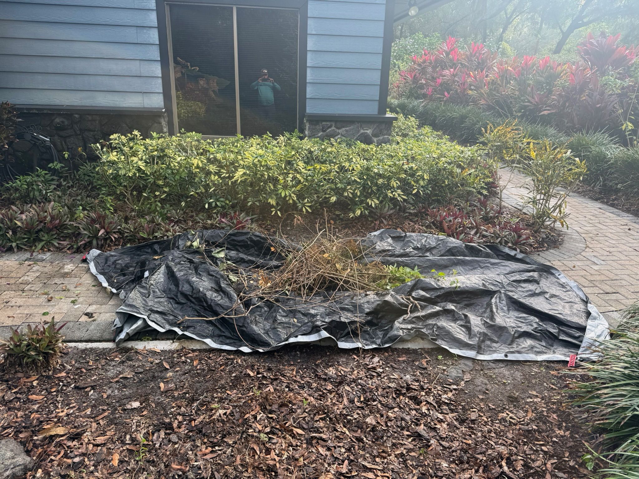  for Amerigrown Tree And Lawn in Apopka, FL