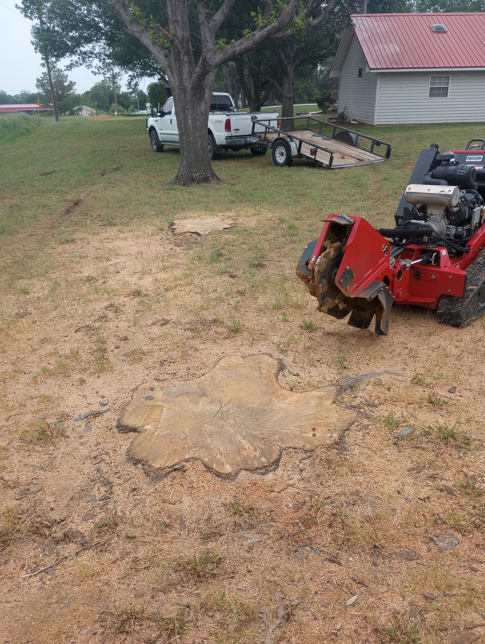  for Marks Tree Service in Fort Worth, TX