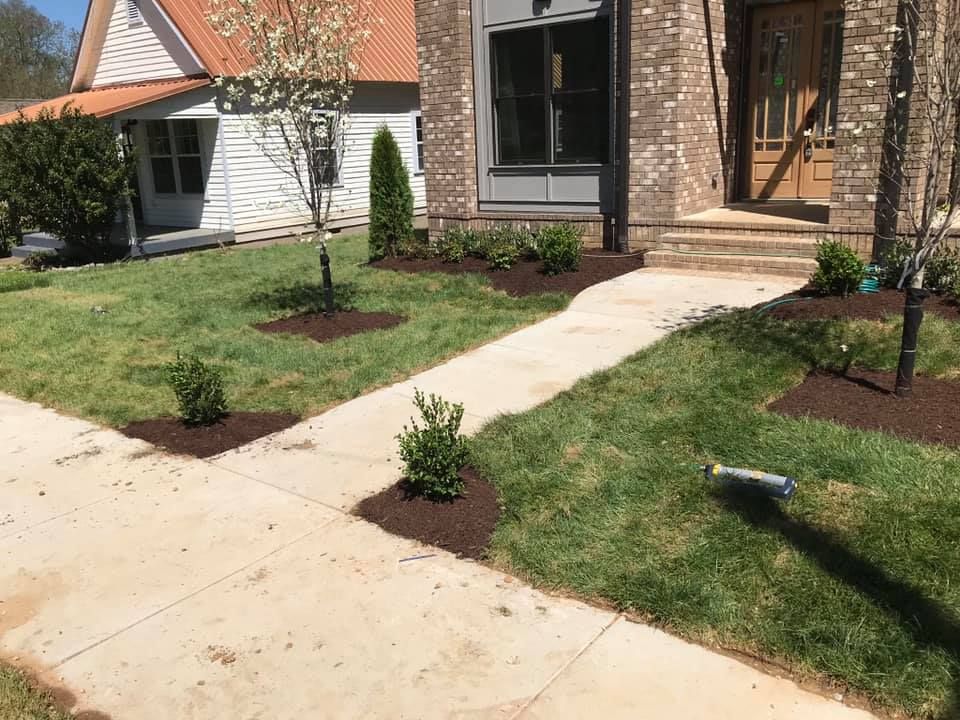  for Grass Management in Nashville, TN
