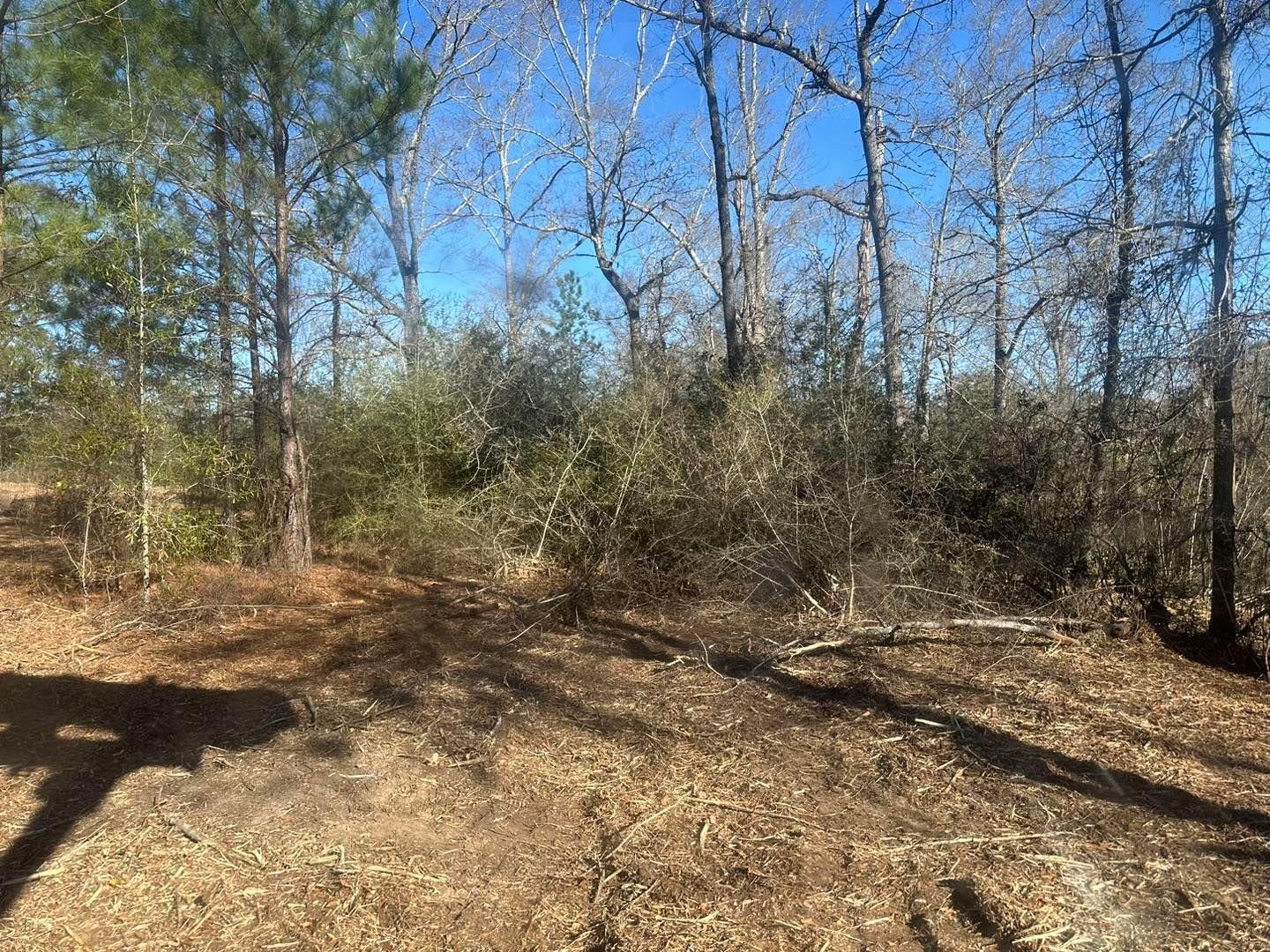 All Photos for White’s Land Maintenance in Milton,, FL