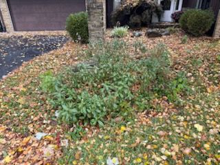  for Bearforce Lawn Care LLC in Greenfield, IN