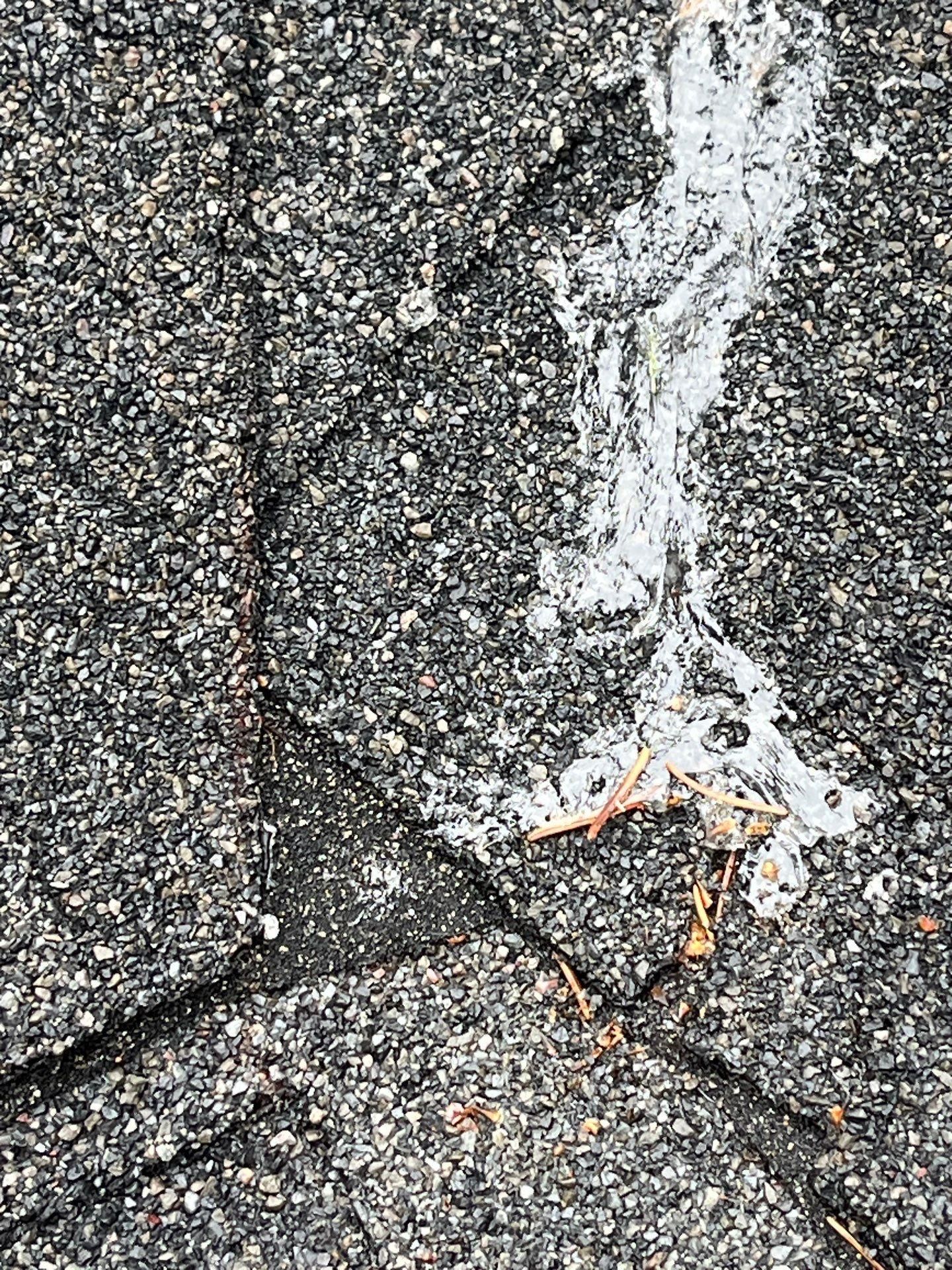  for Jalbert Contracting LLC in Alton, NH