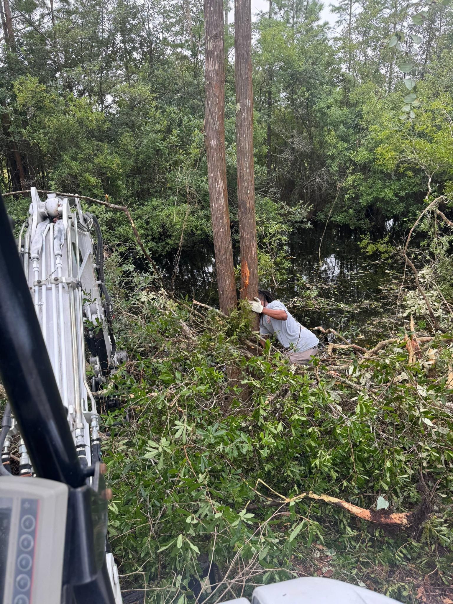  for DLC Land Clearing in Glen Saint Mary, FL