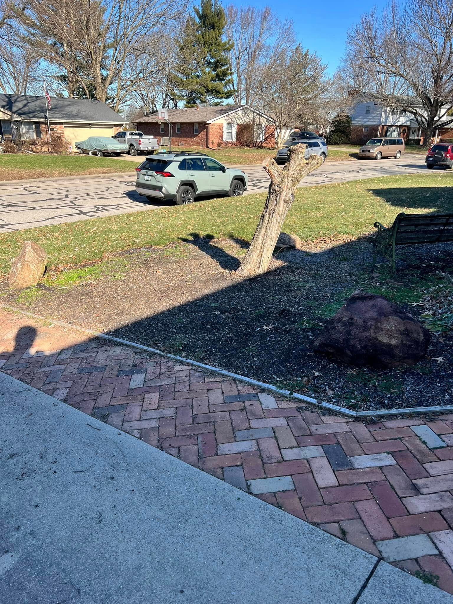 Tree Services for Kadin’s Tree Service in North Vernon, IN