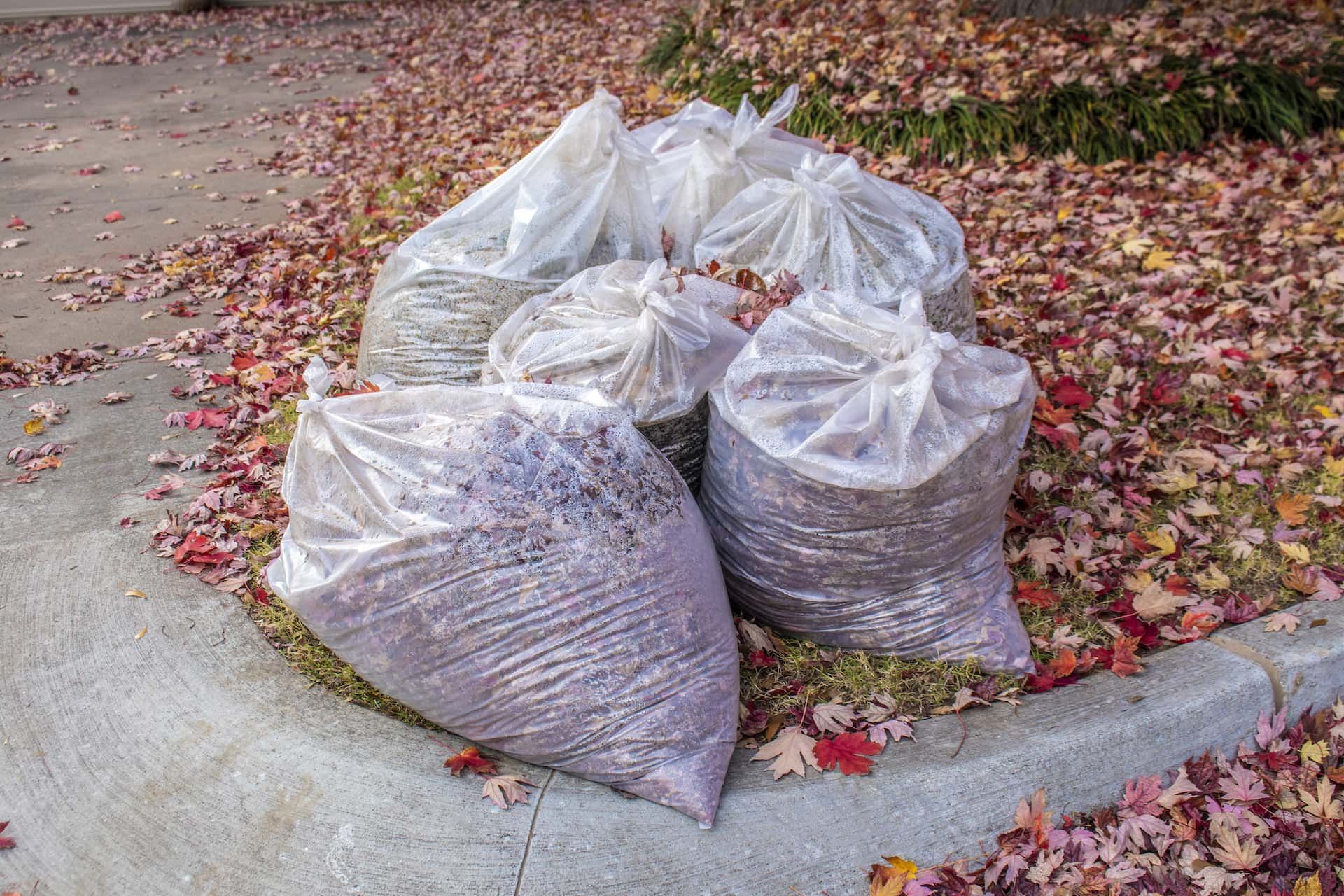 Landscaping for Goat Eater in Forsyth, GA